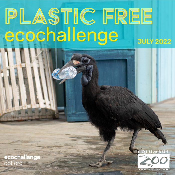 post - bottle bird.png