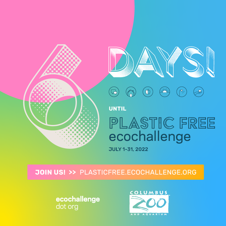 post - countdown 6.png