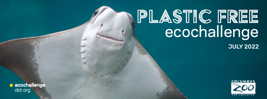 social media banner - fb sting ray.png