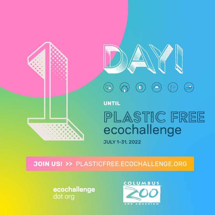 post - countdown 1.png