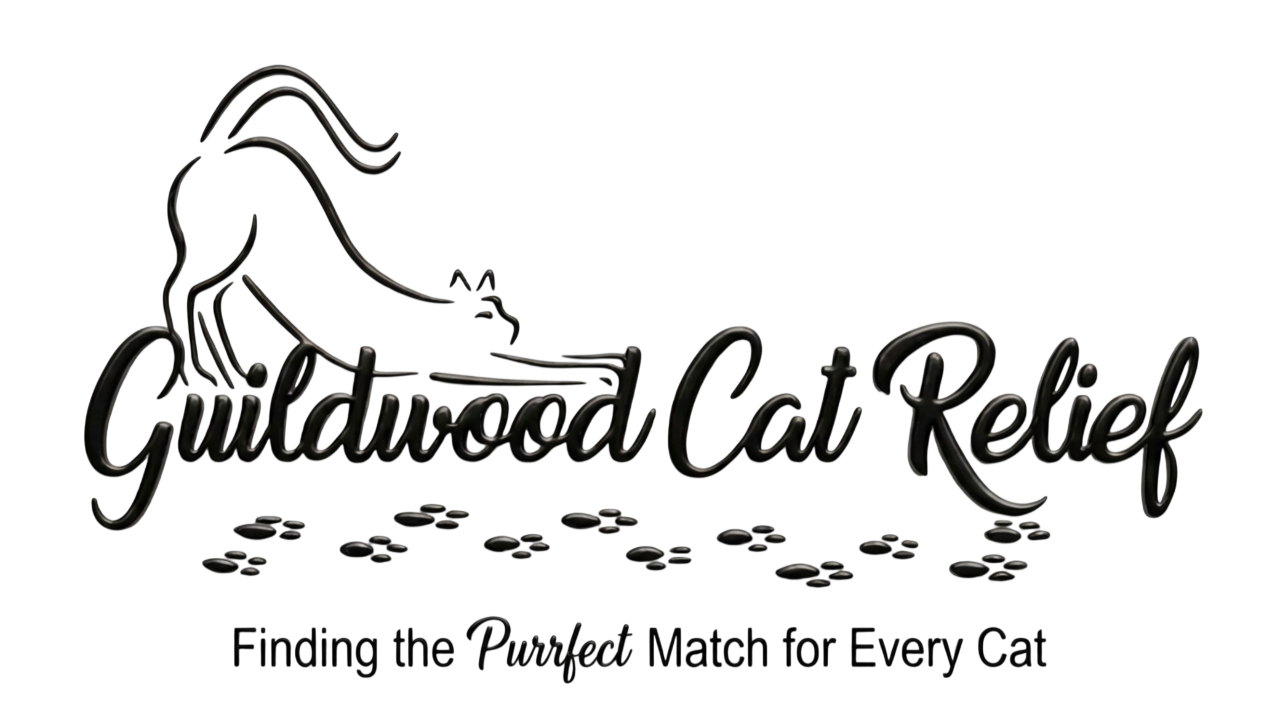 Guildwood Cat Relief
