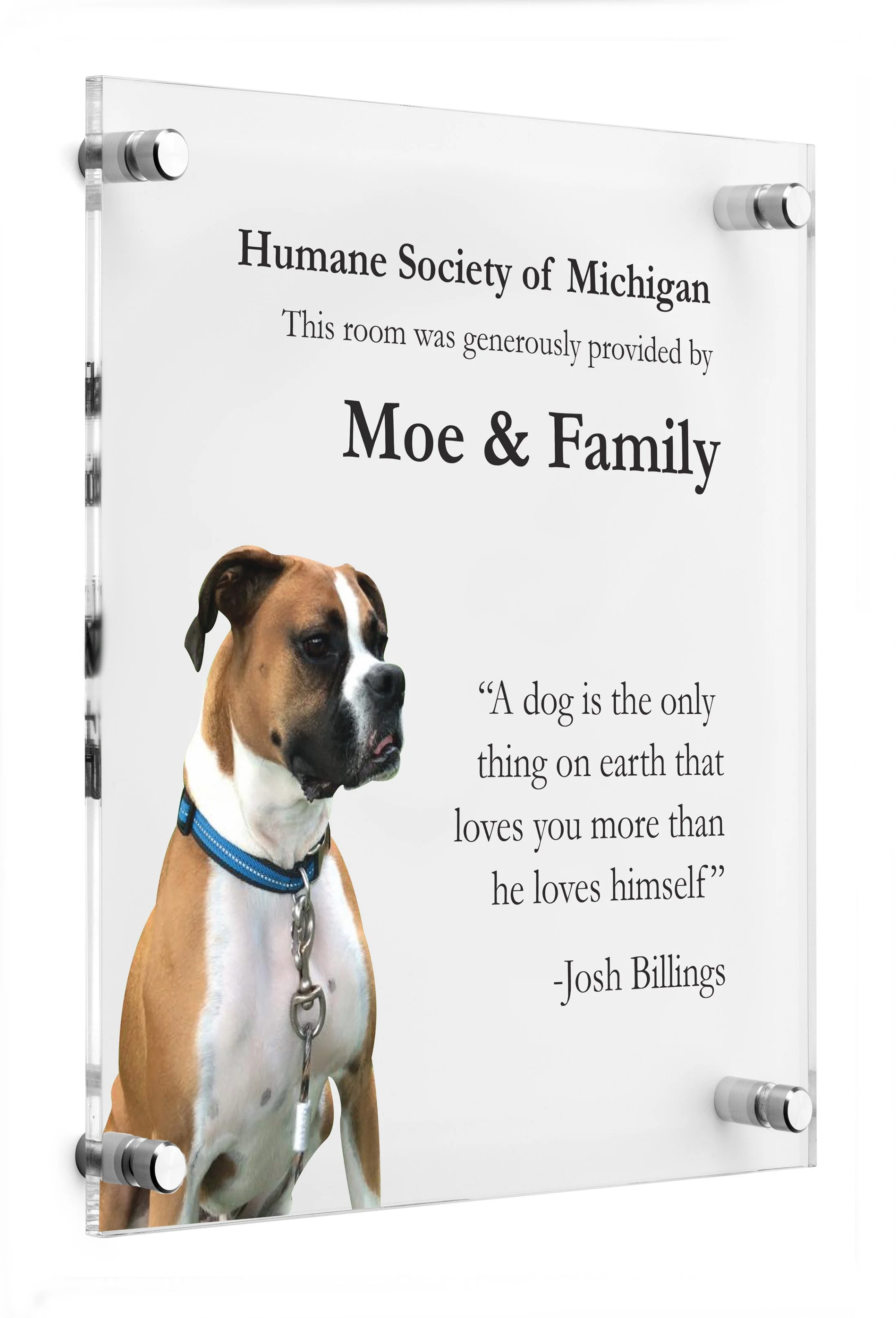 Moderna Portrait.jpg