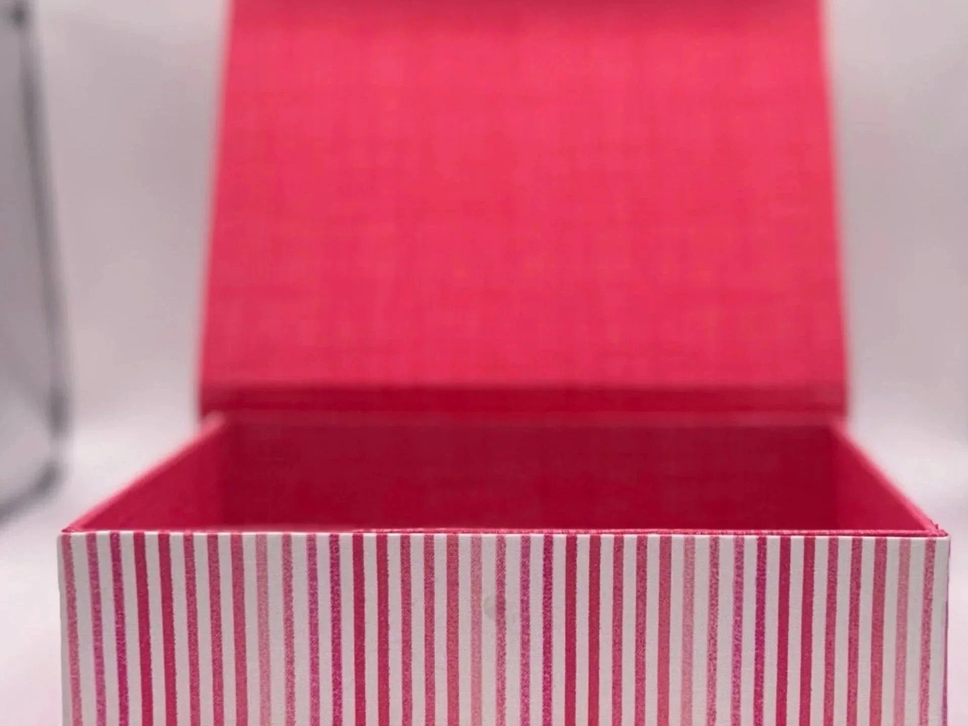 6x8 Interior Lift of Lid