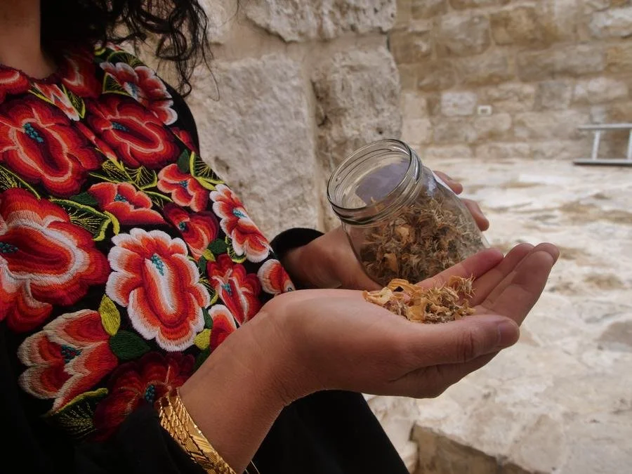 Image courtesy of Vivien Sansour, an outstretched hand holding dried petals