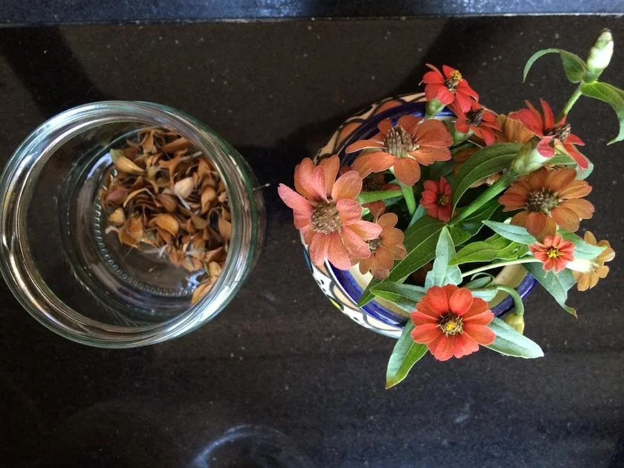 Image courtesy of Vivien Sansour, showing a jar and a vase, the jar has dried petals and the vase is full of flowers