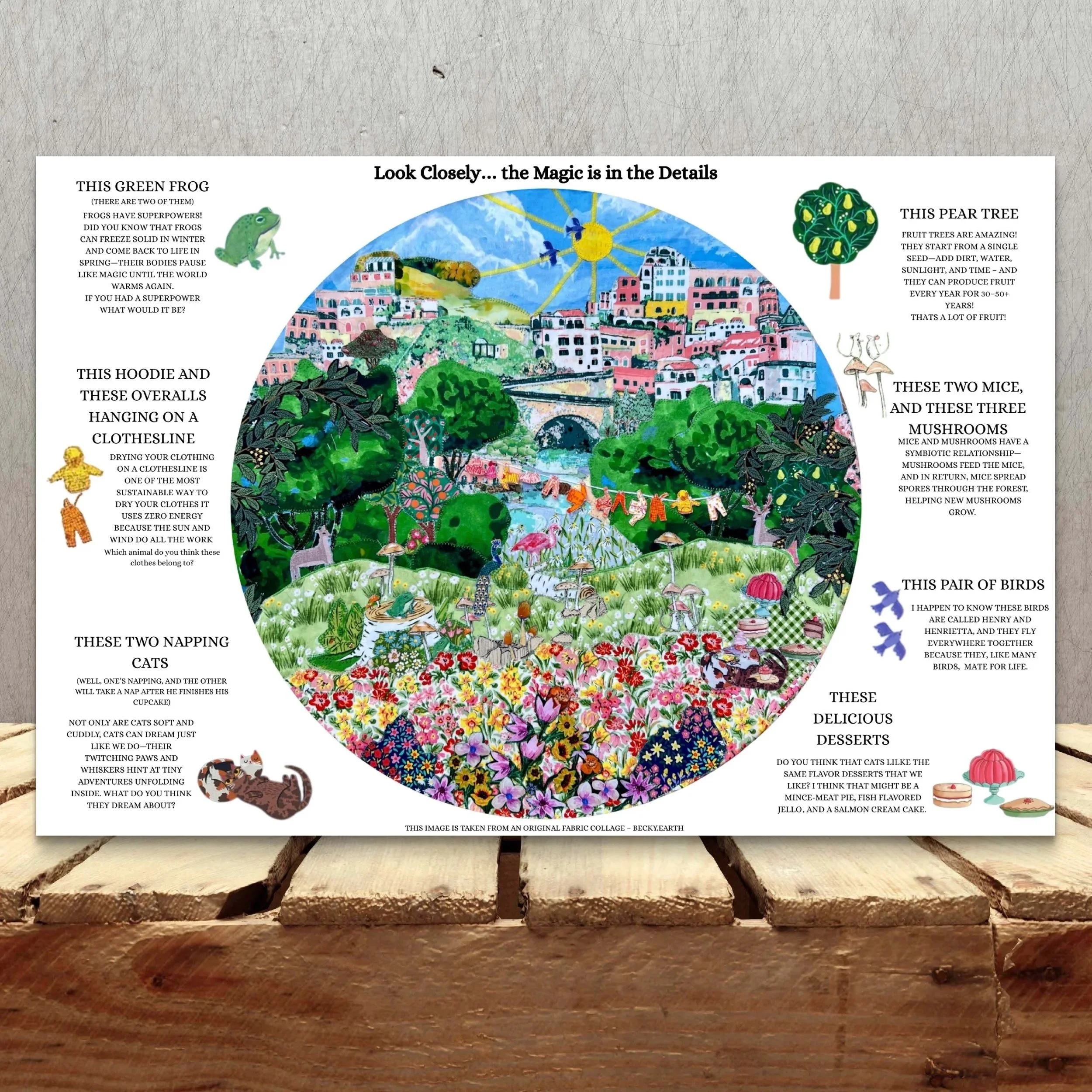 Seek & Find — No. 03: Where the City Learns to Bloom