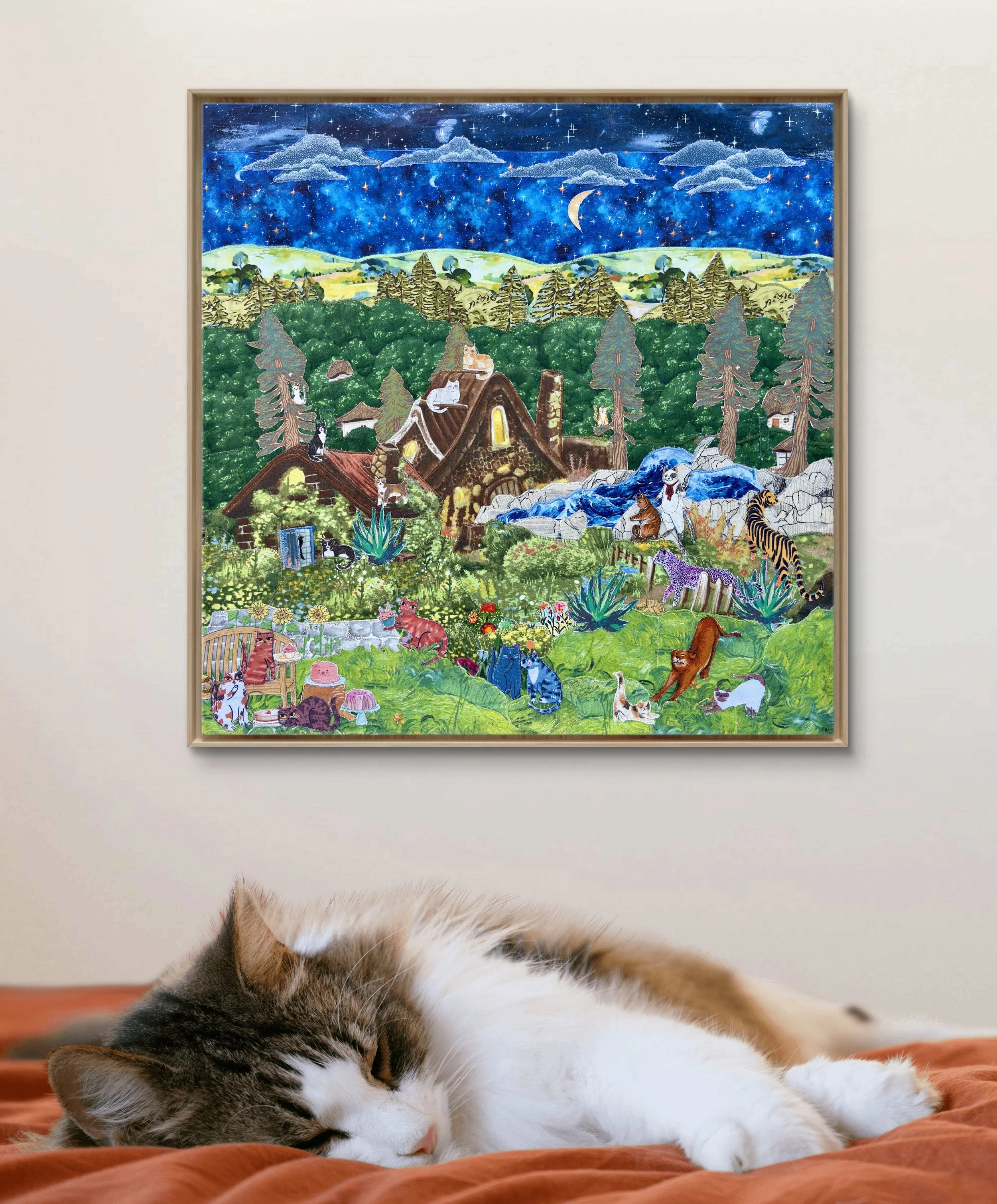 Midnight Mischief In Situ.JPG