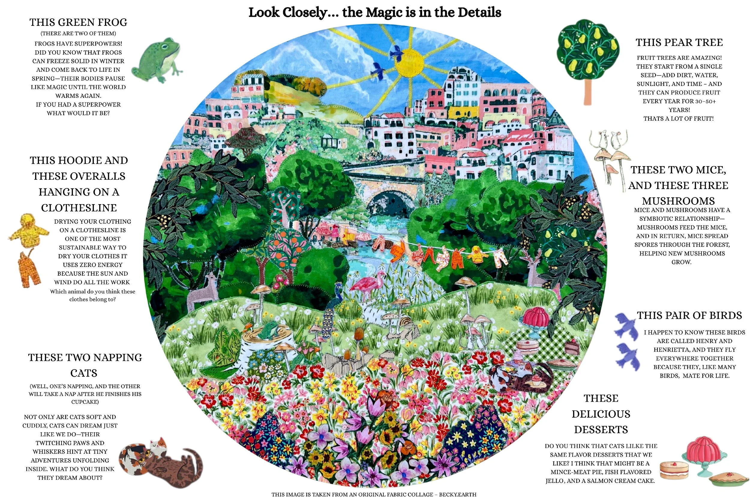 Seek & Find — No. 03: Where the City Learns to Bloom
