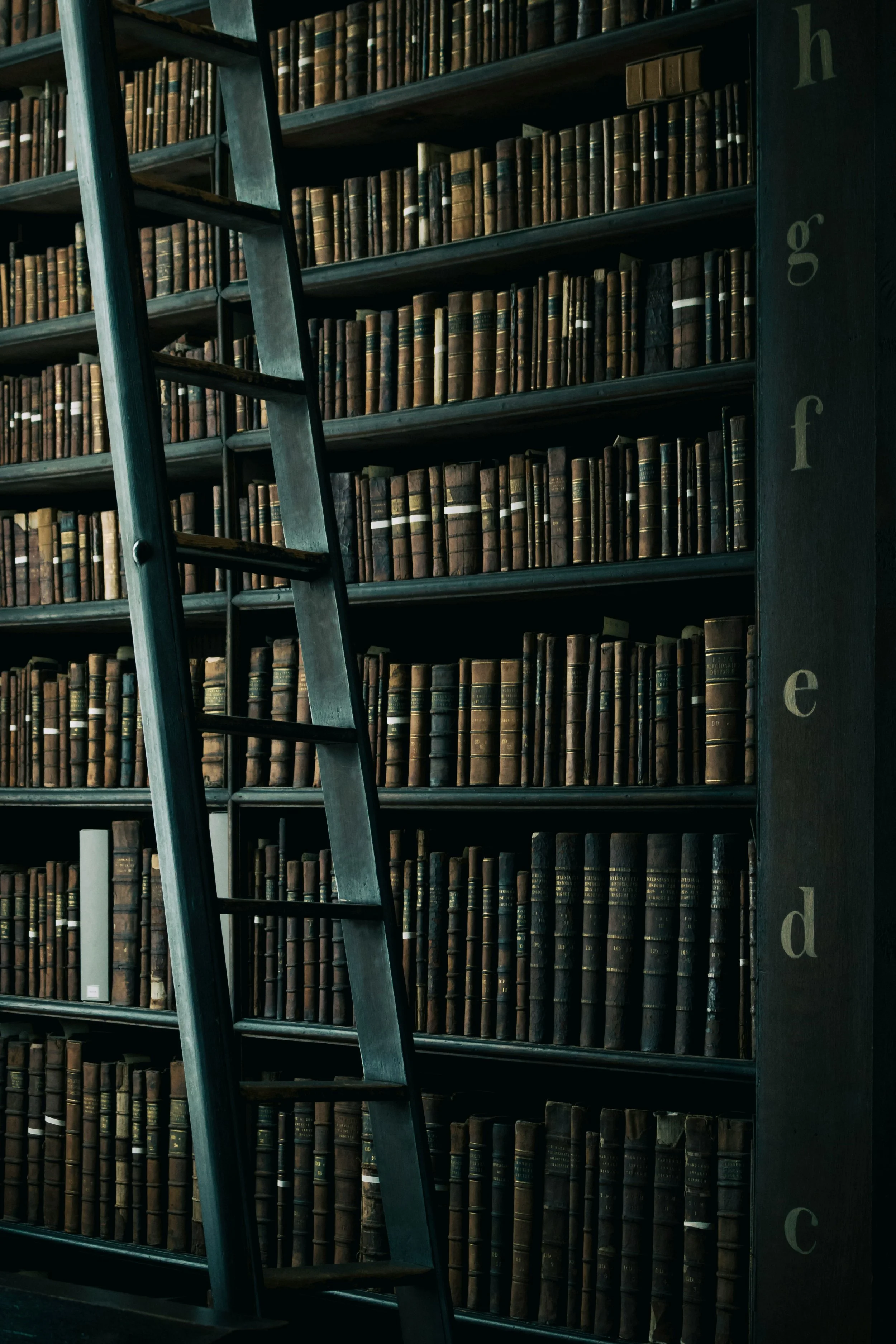 A tall wooden bookshelf filled with old, leather-bound books in a library. A metal ladder leans against the shelf, providing access to high shelves. The right side of the bookshelf is marked with alphabet letters from 'h' to 'c' vertically.