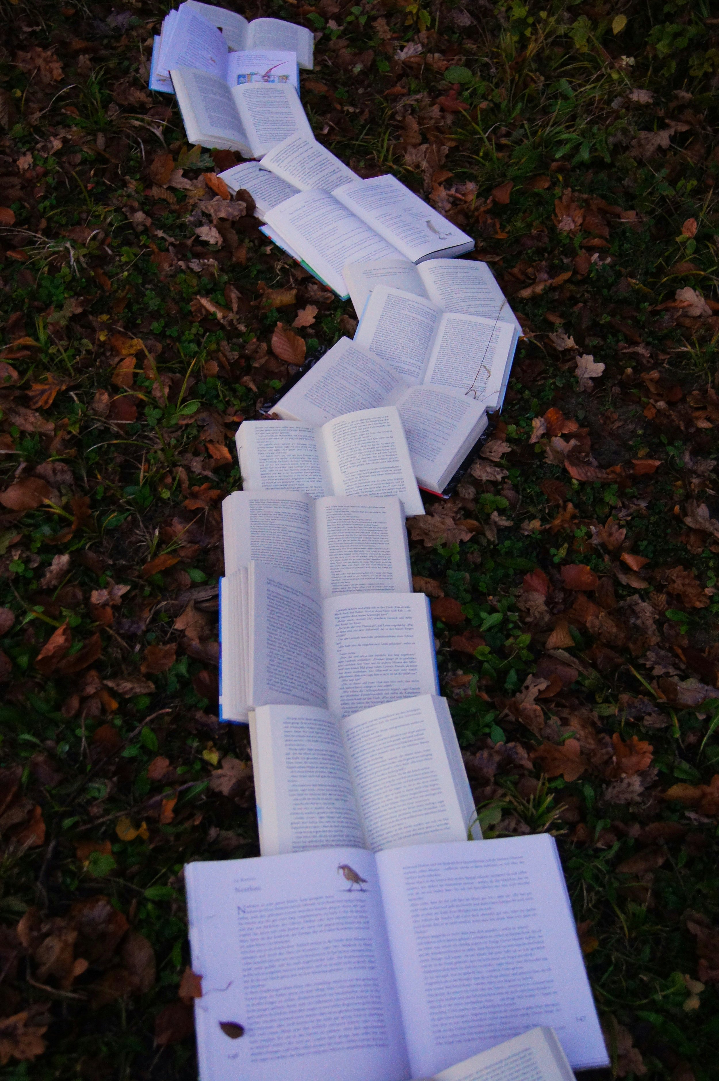 Several open books laid out on the ground surrounded by fallen autumn leaves and grass.