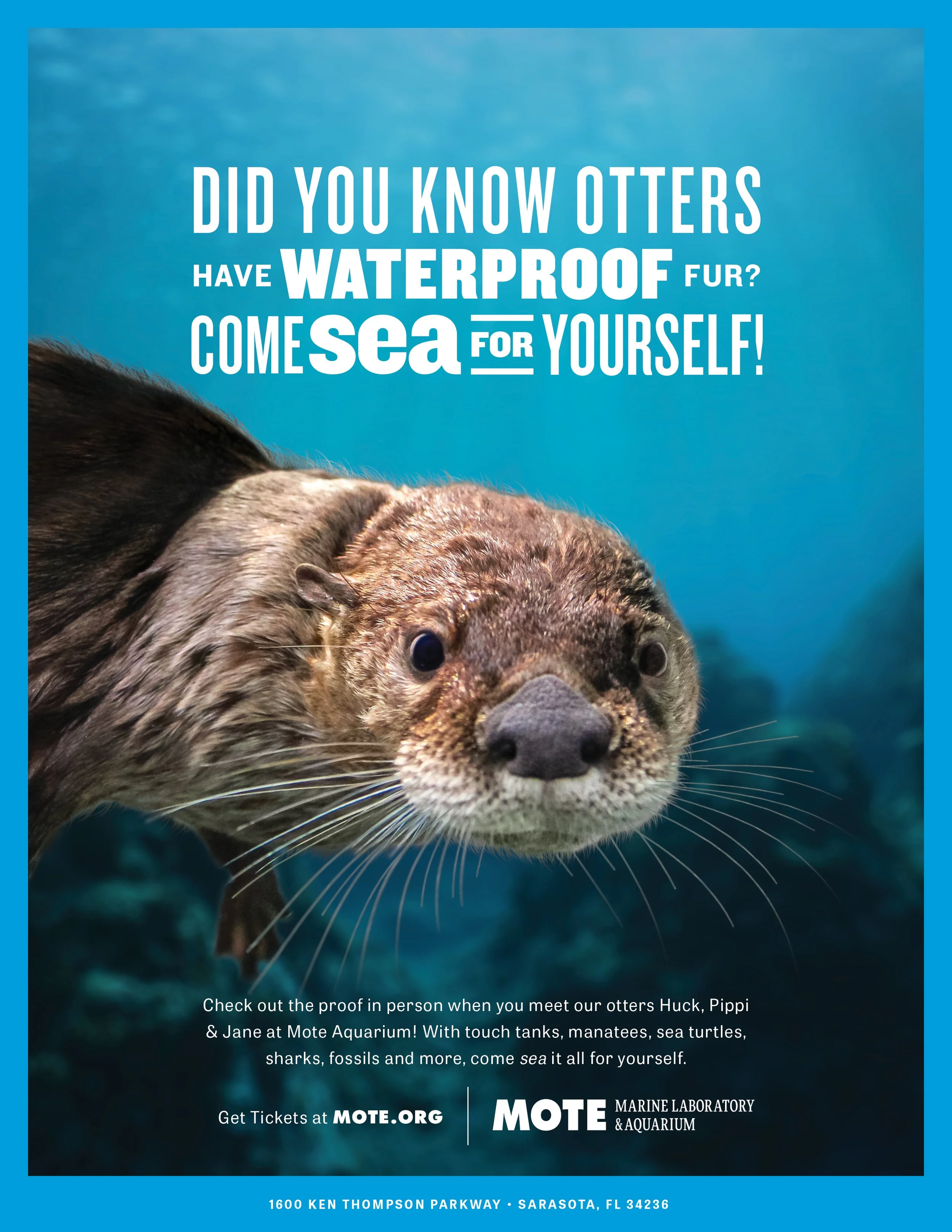 MML-Print-Otter.jpg