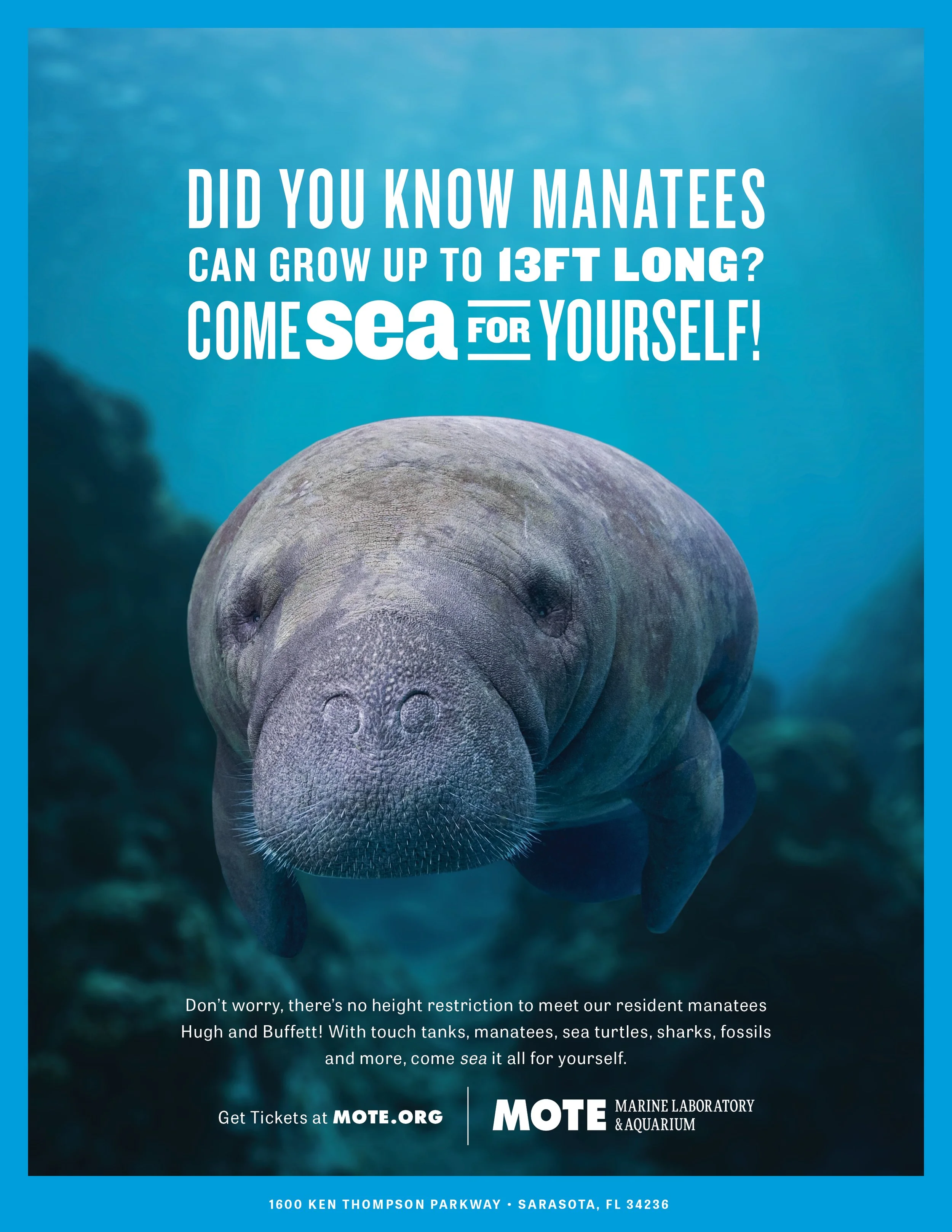 MML-Print-Manatee.jpg