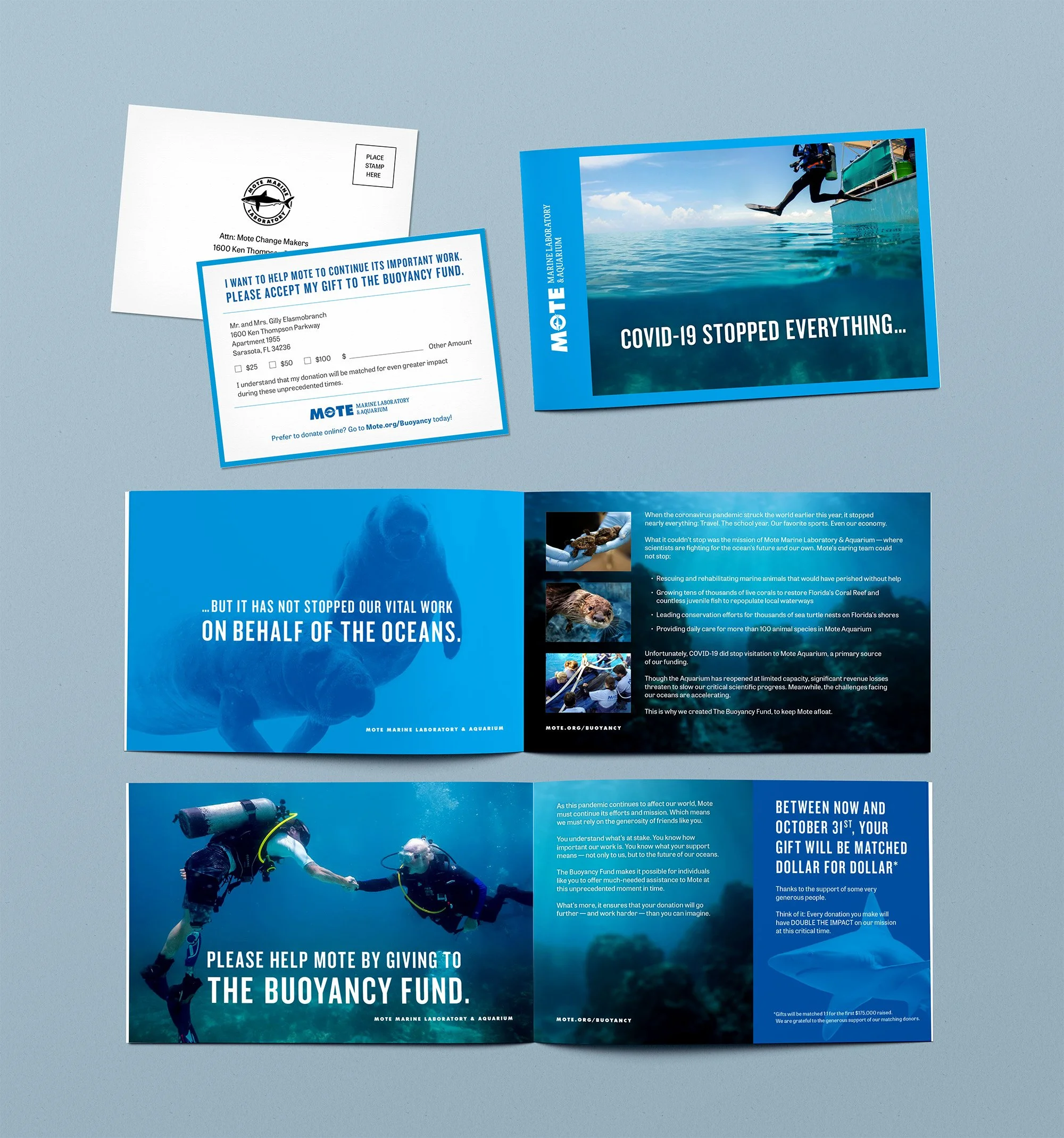 MML Buoyancy Fund.jpg