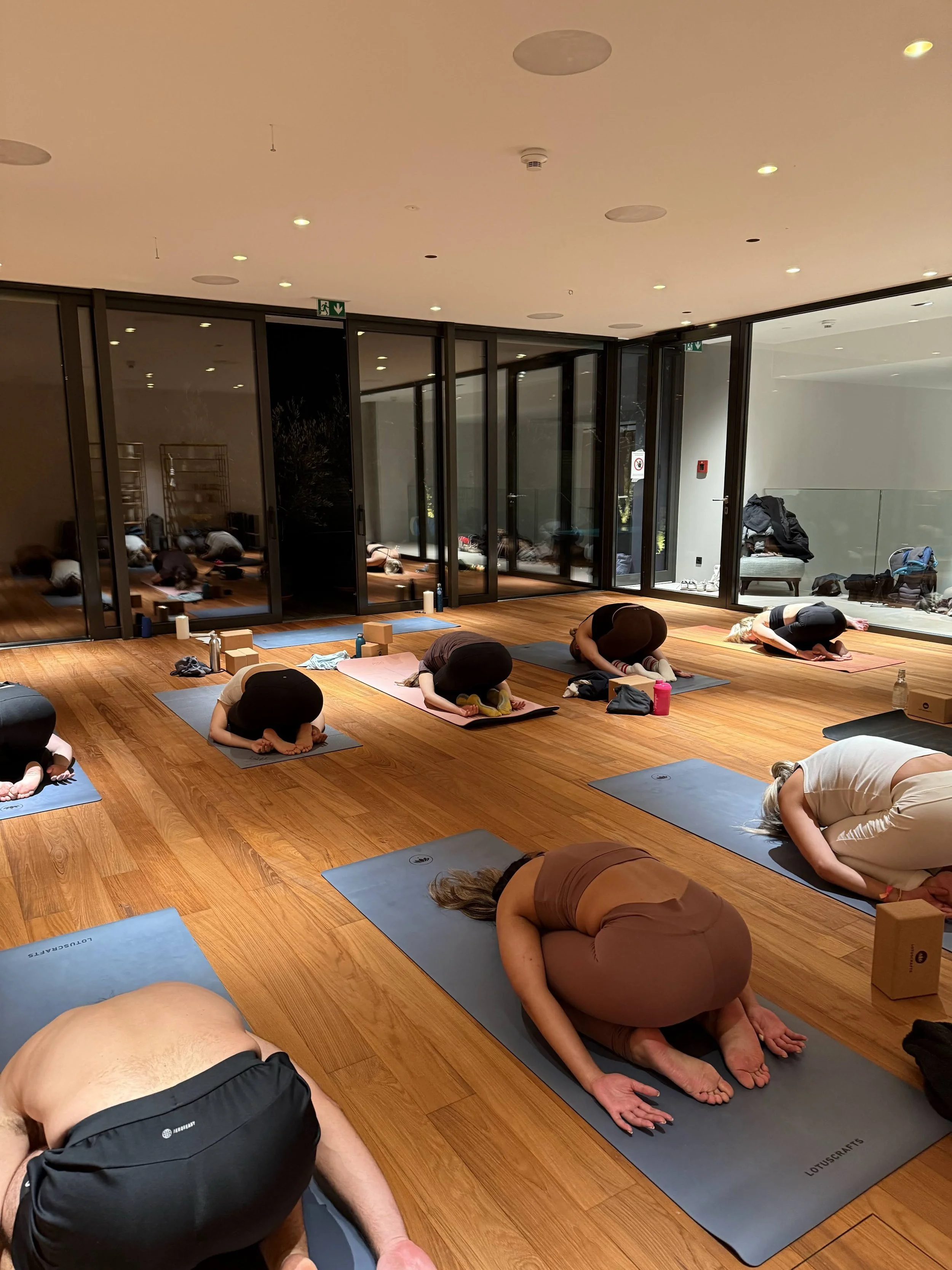 Yin Yoga, Restoratives Yoga in Konstanz & am Bodensee. 