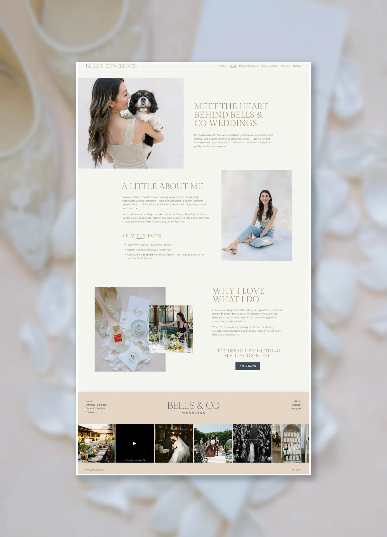 Bells & Co Weddings 8.jpg