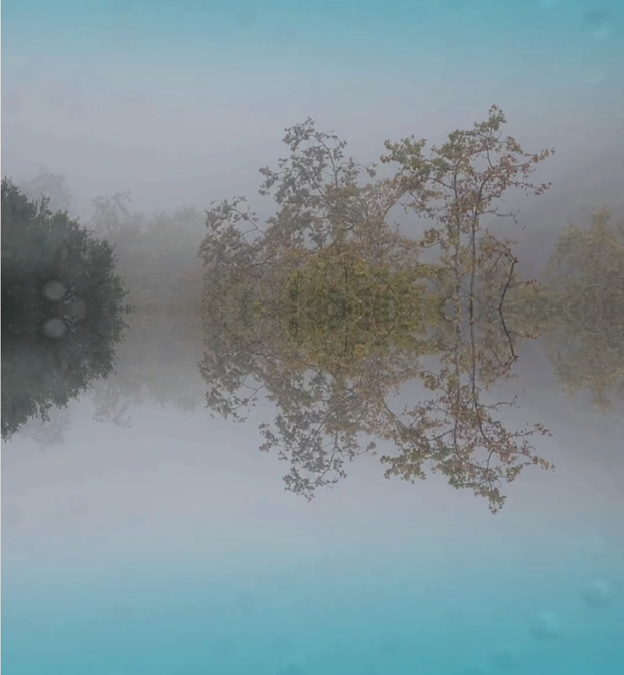 Janna Avner- Reaction Portal: On Ecology