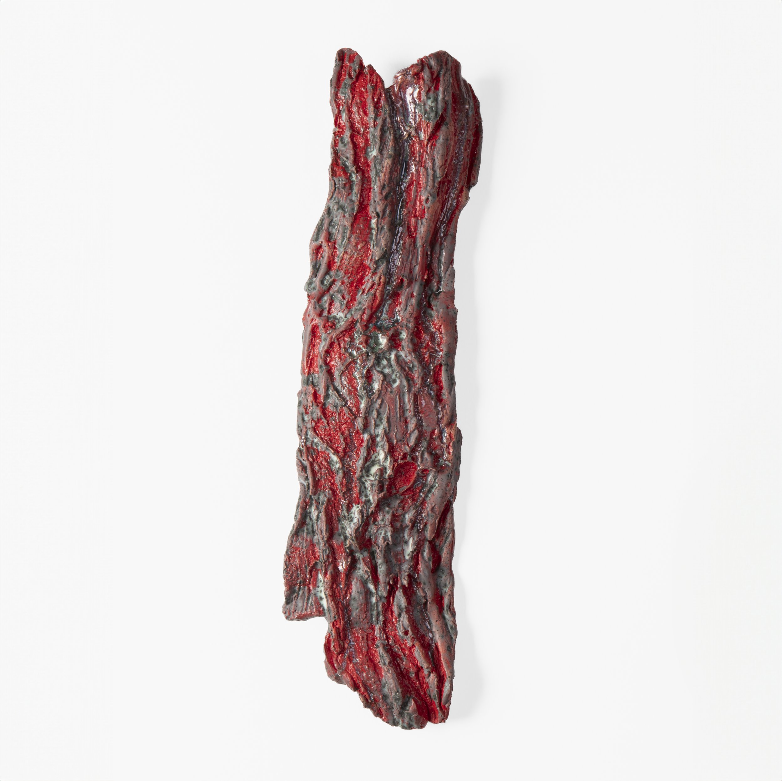Yazzie_Untitled Bark #8 .jpg