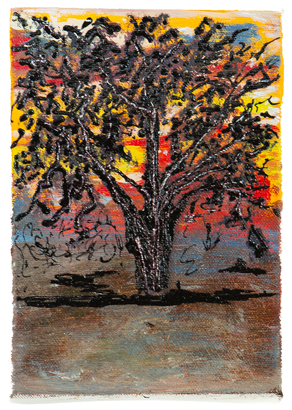 Cottonwood Tree at Sunset
5" x 7"
acrylic on canvas