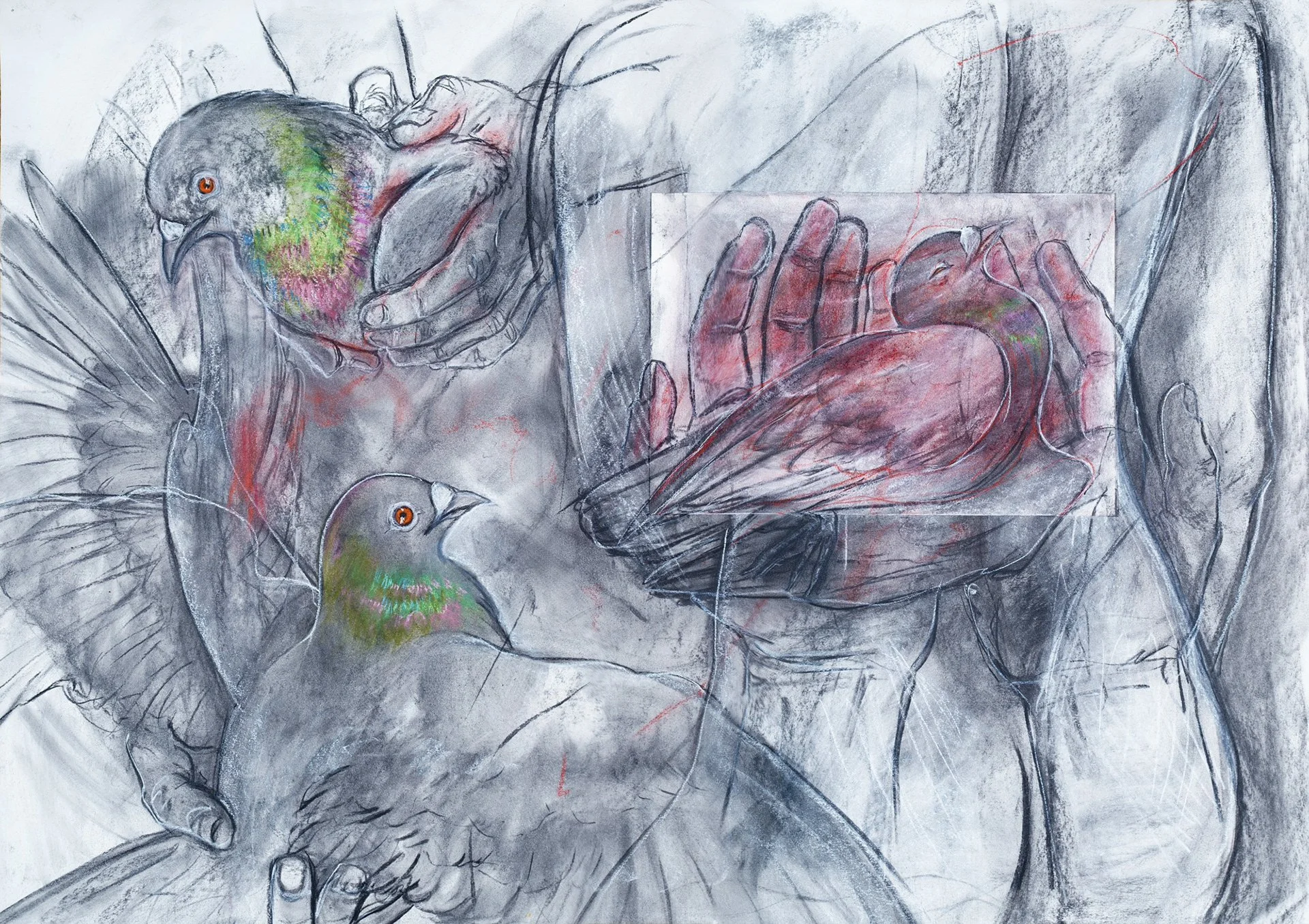 A charcoal abstract drawing of pigeons. 