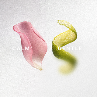 Pink flower petal and green lime peel with the words 'Calm' and 'Gentle'