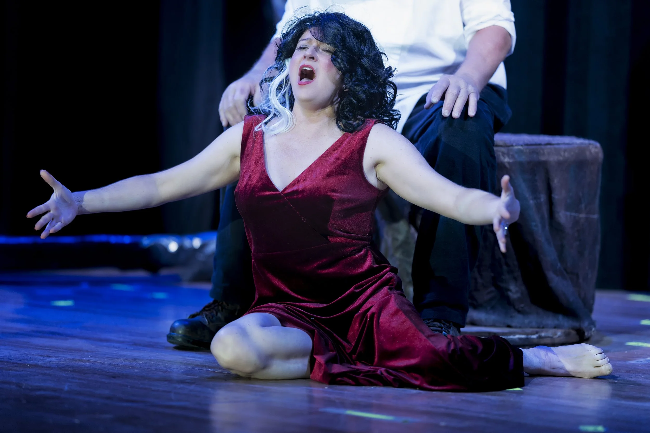 Young Frankenstein Musical, Production by Ashe County Little Theatre