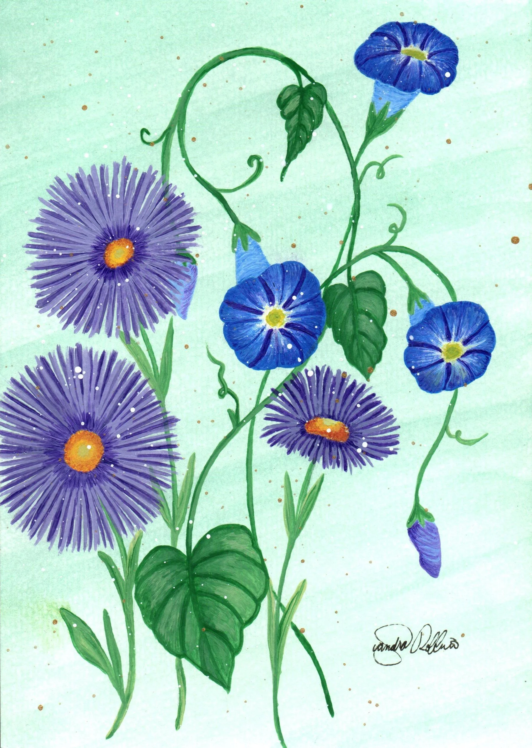 September Aster & Morning Glory.jpg