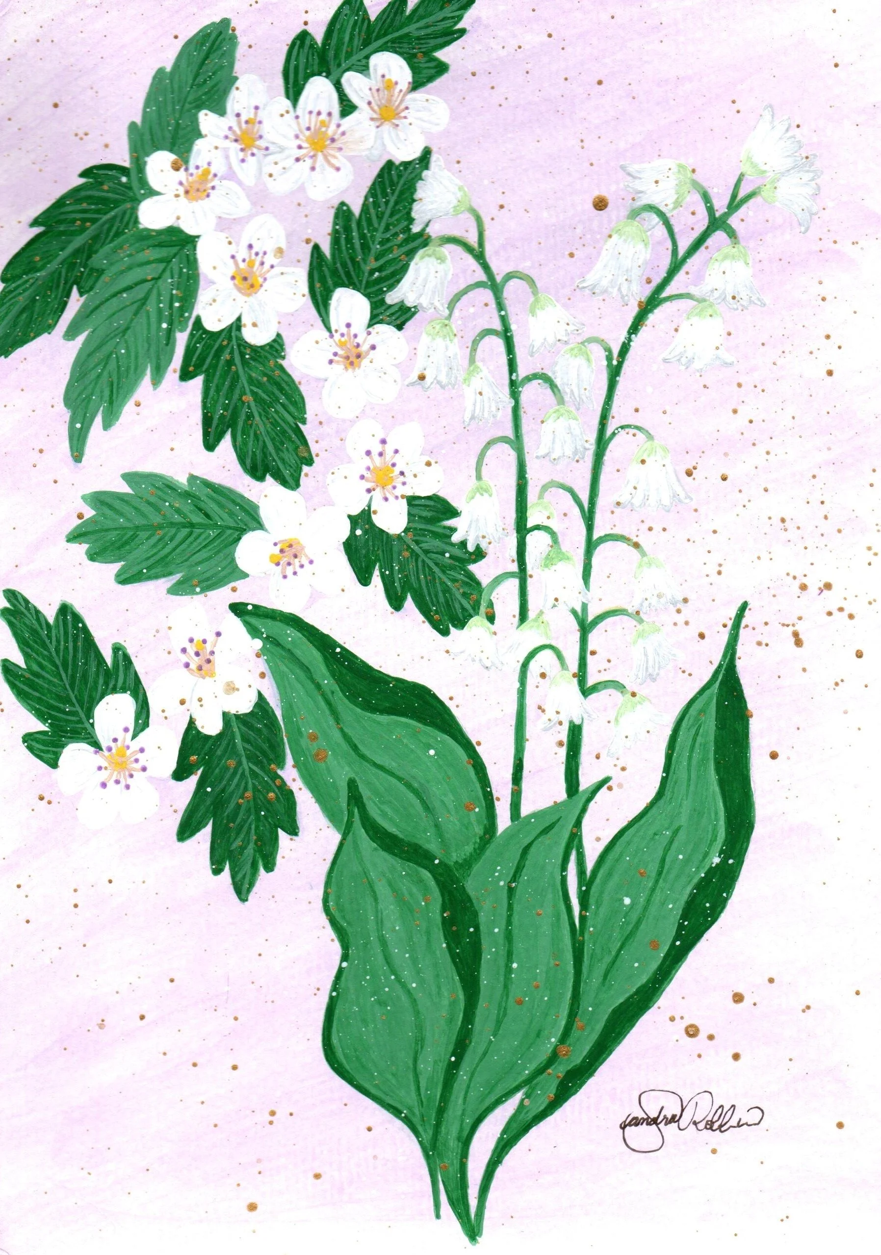 May Lily of the Valley & Hawthorn .jpg