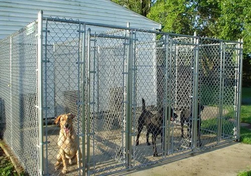 City-Fence-Dog-Kennels-1-lg.jpg