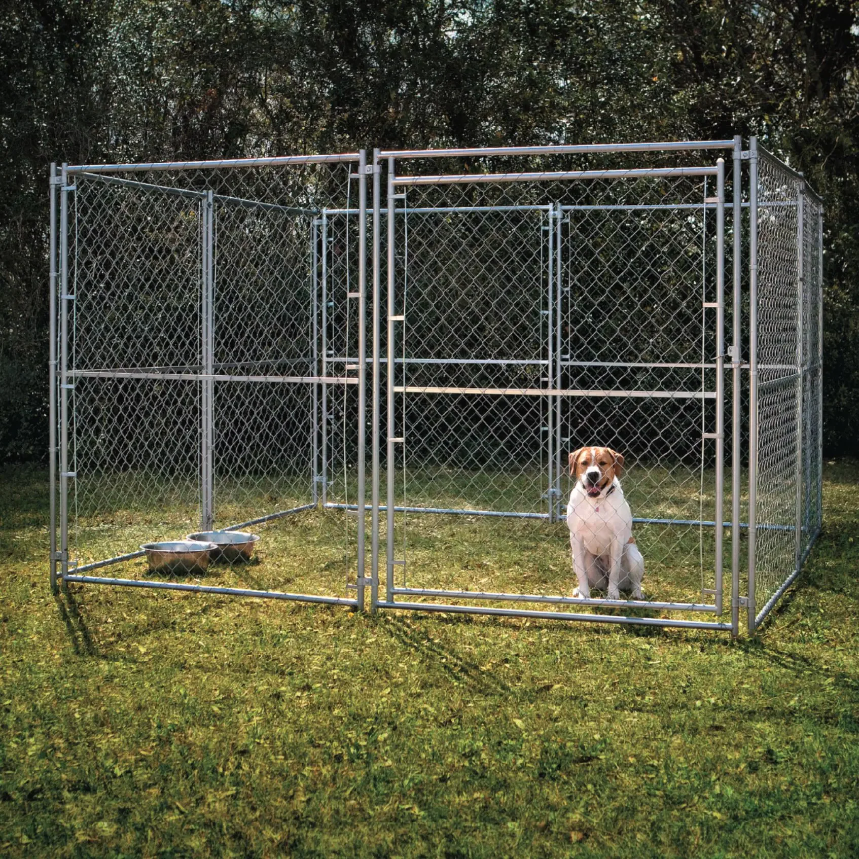 Chain Link Dog Kennels