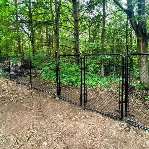 Chain Link Gates