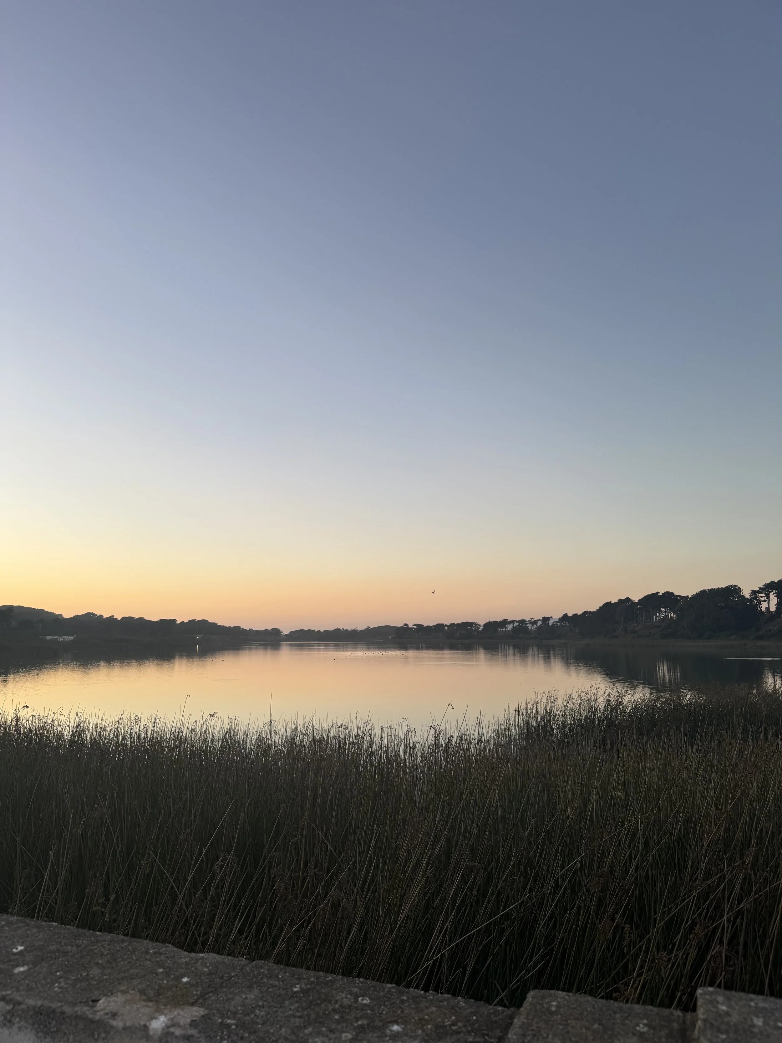 A serene river scene at dusk with calm water reflecting the colorful sky, surrounded by tall grass in the foreground and trees on the distant shoreline.