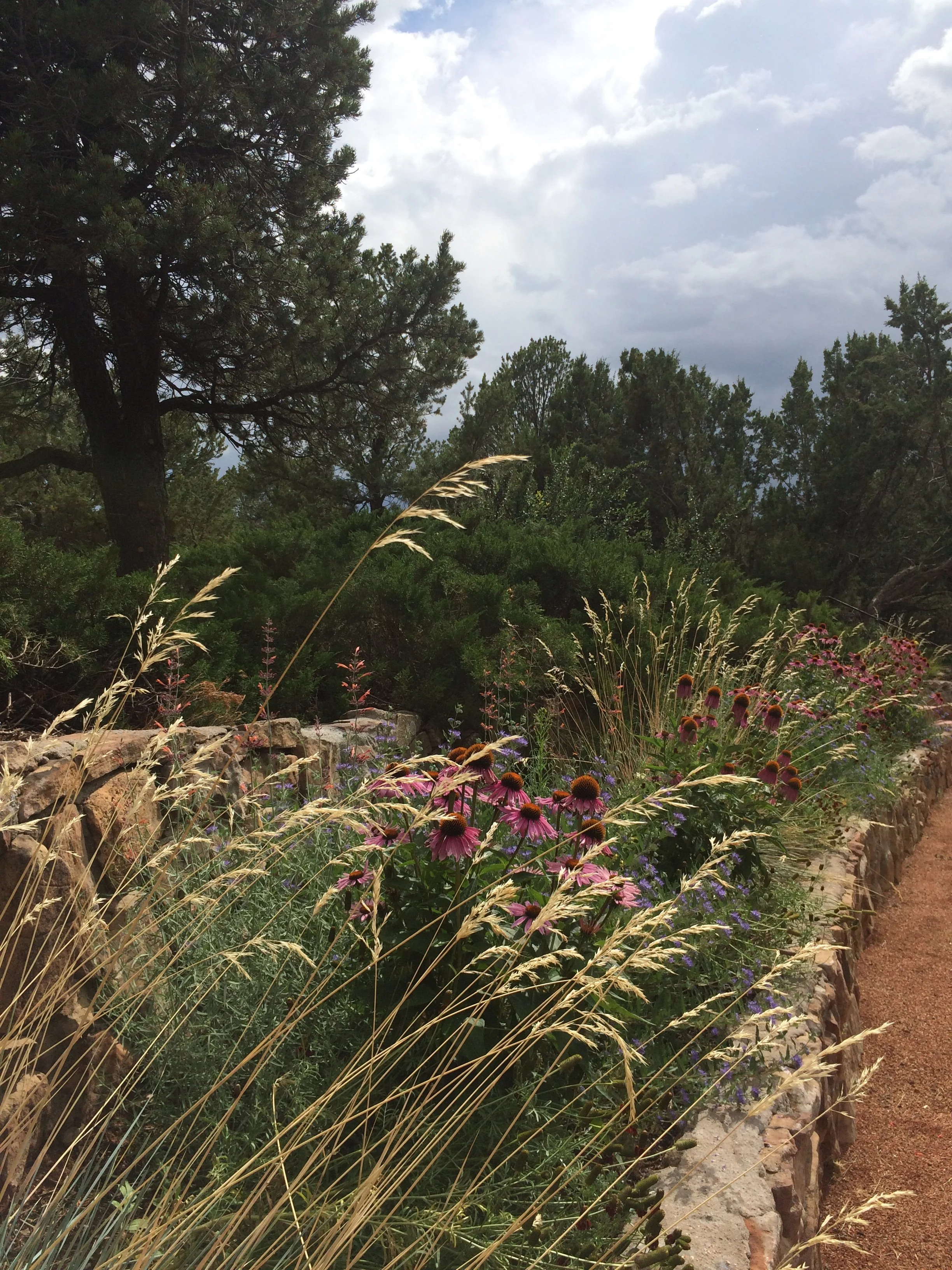 2016-08-02 16.09.25.jpg