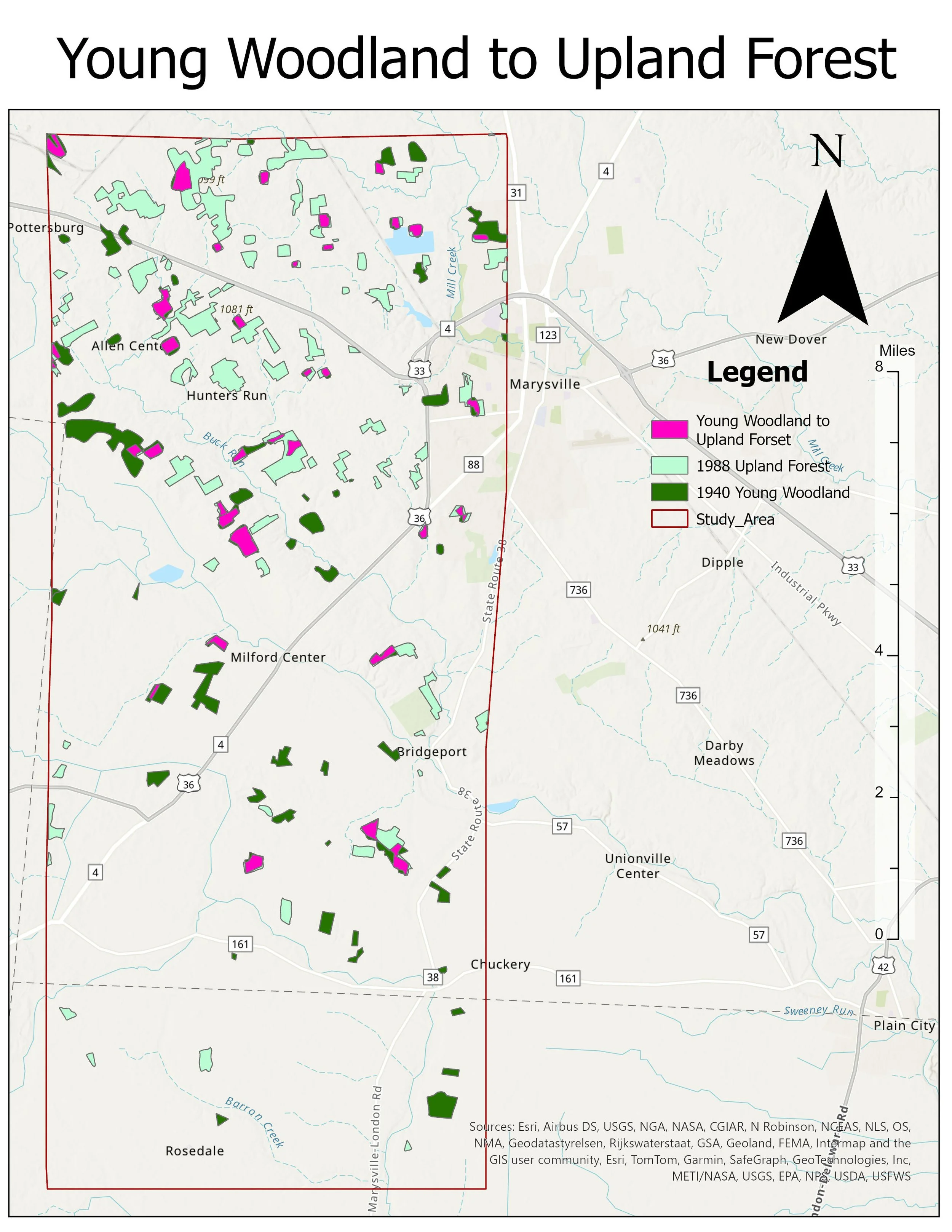 YoungWoodland to Uplandforest.jpg