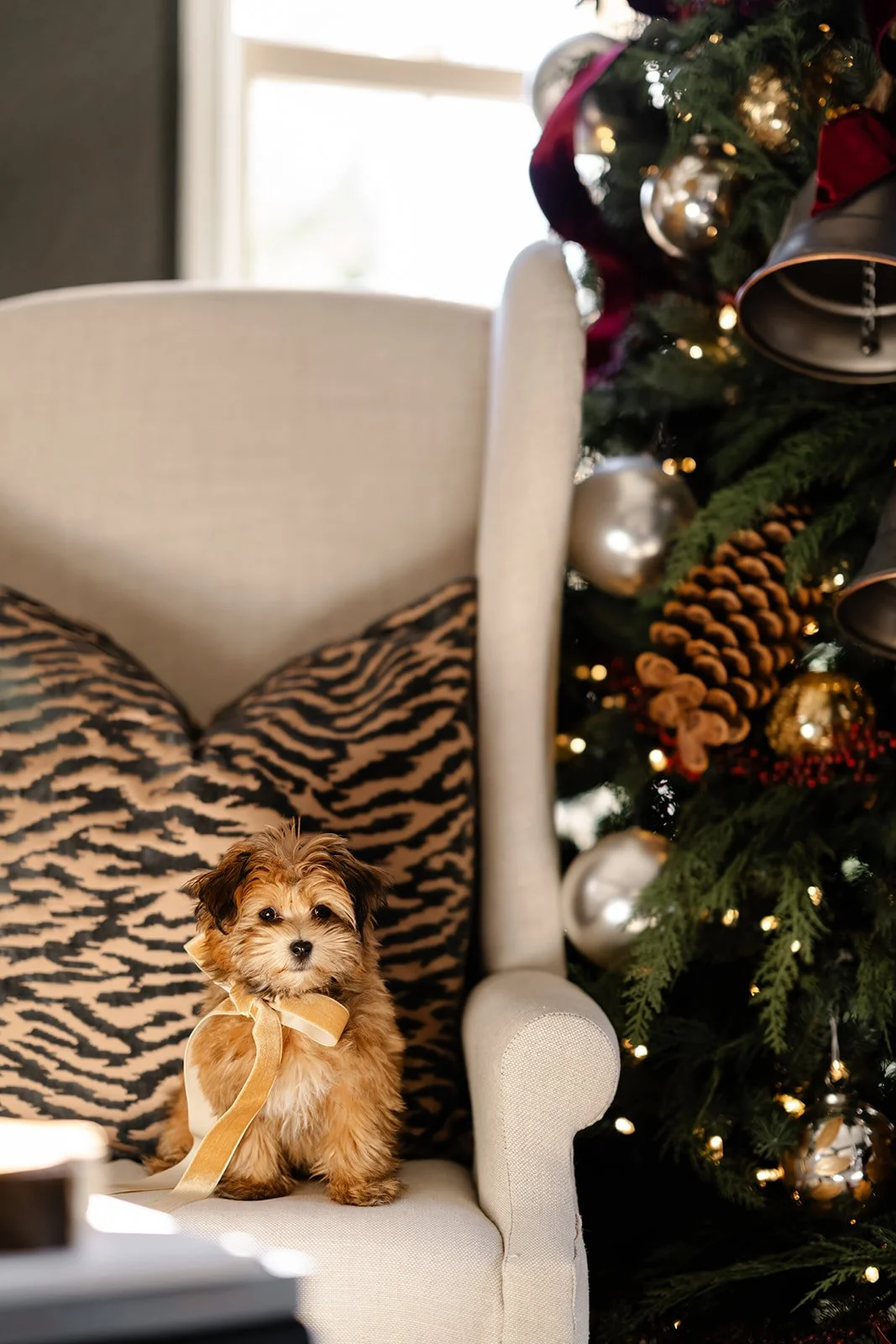 XmasMcArthur-218.jpg