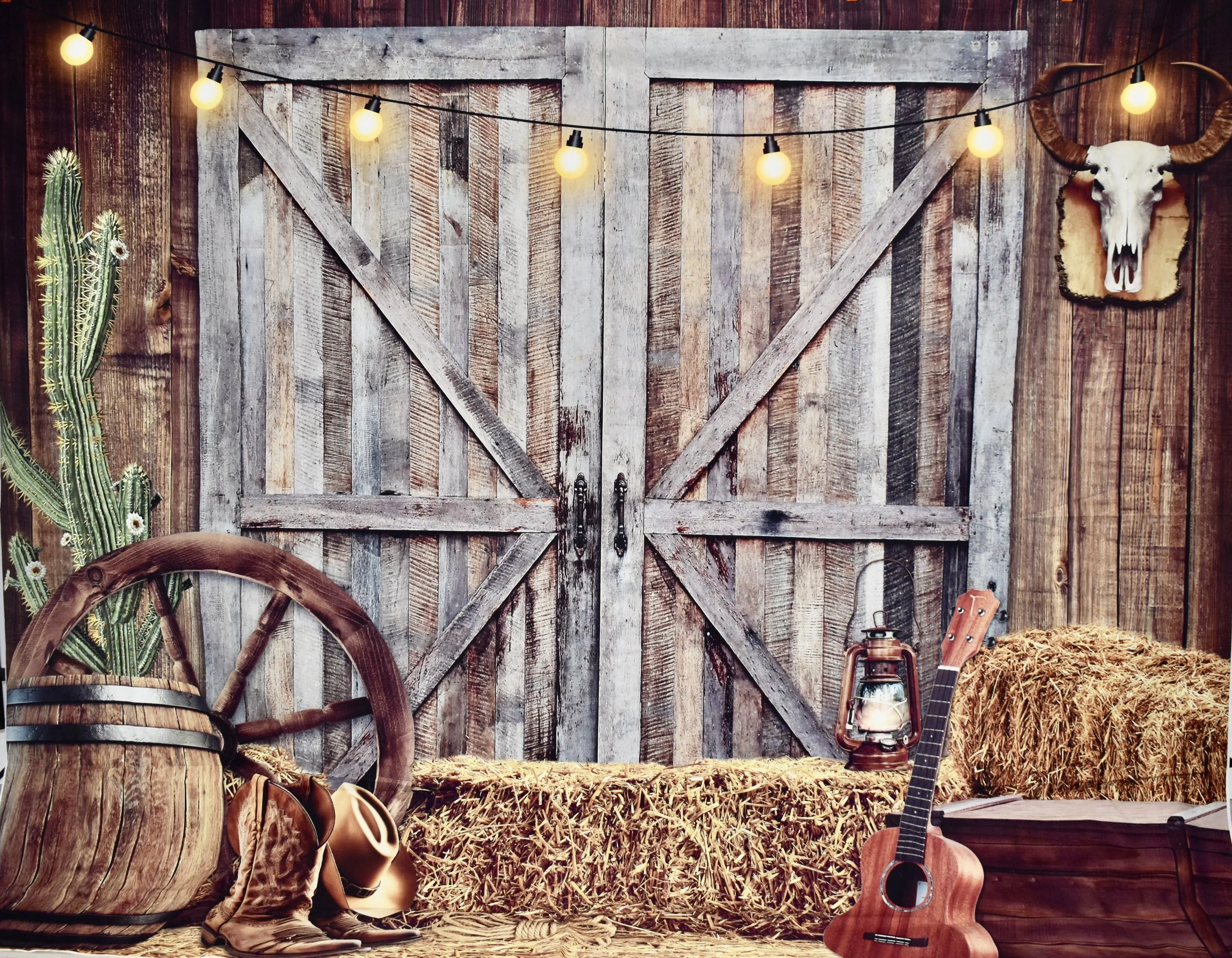 Barn Doors
