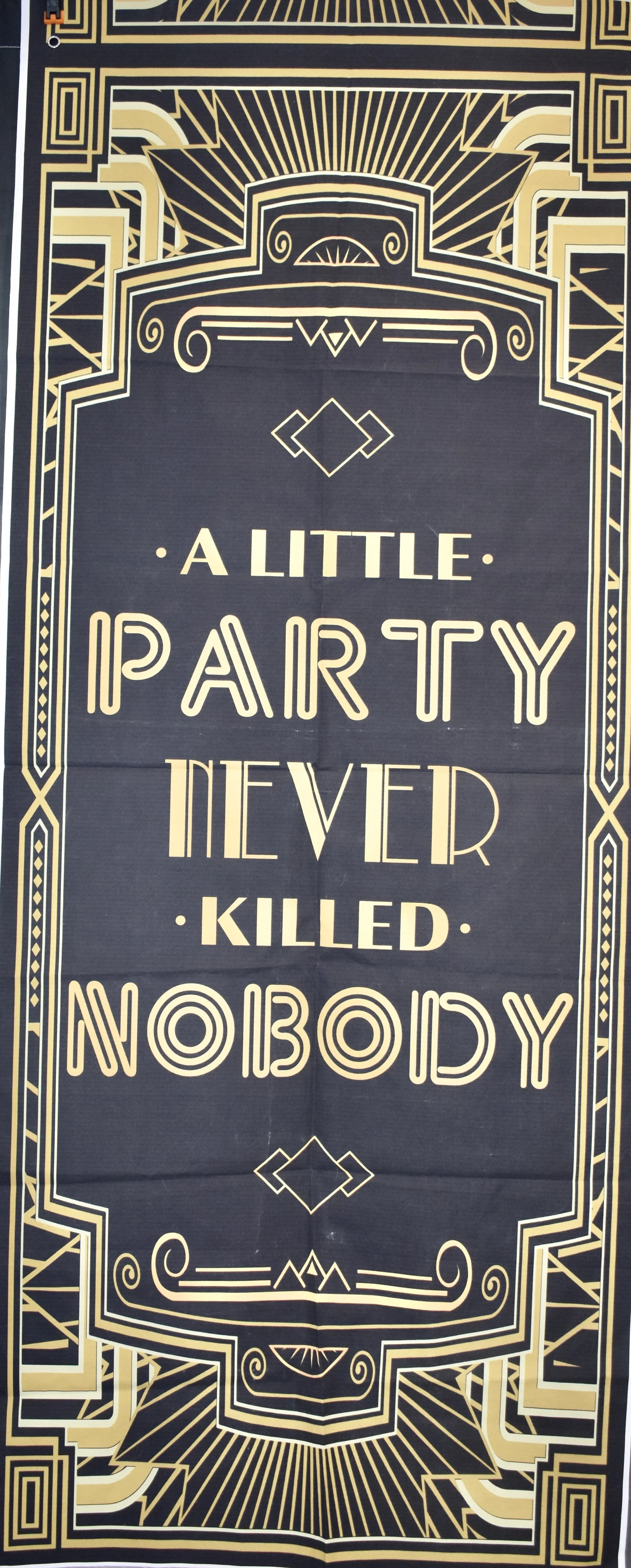 A Little Party Never Killed Nobody