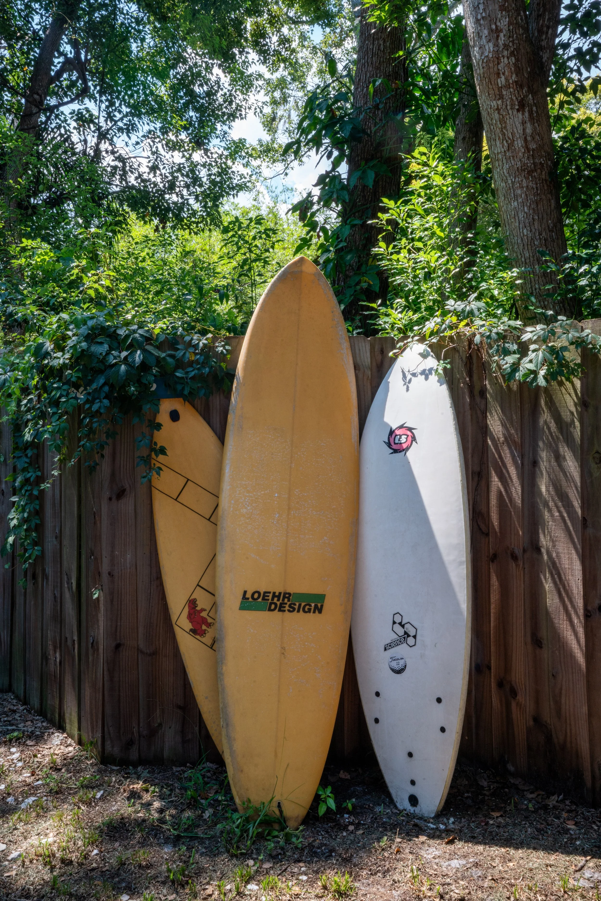 surfshed-9591.jpeg