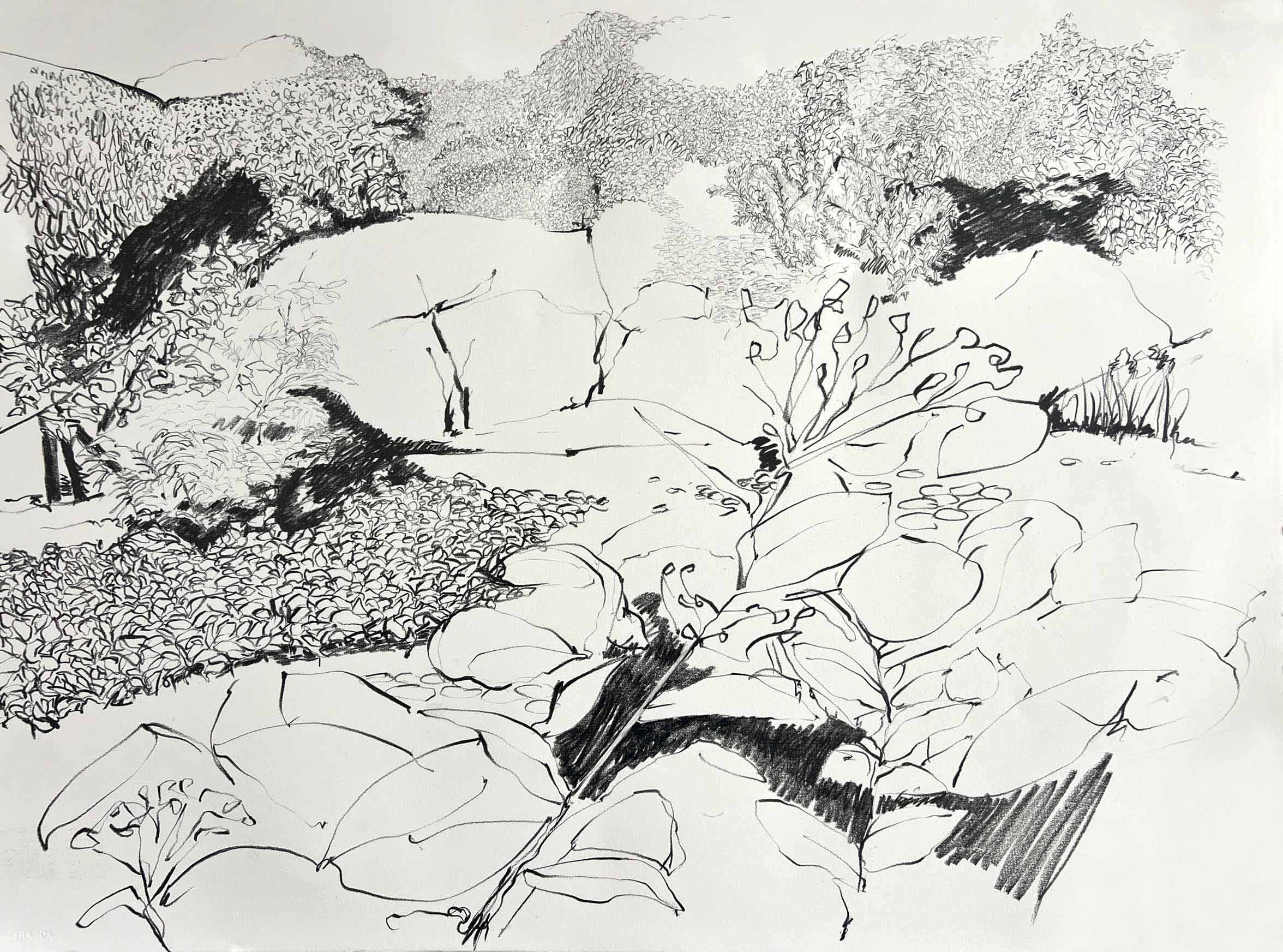 At the Pond in Autumn I, 2025, 21" x 30", Graphite on Paper