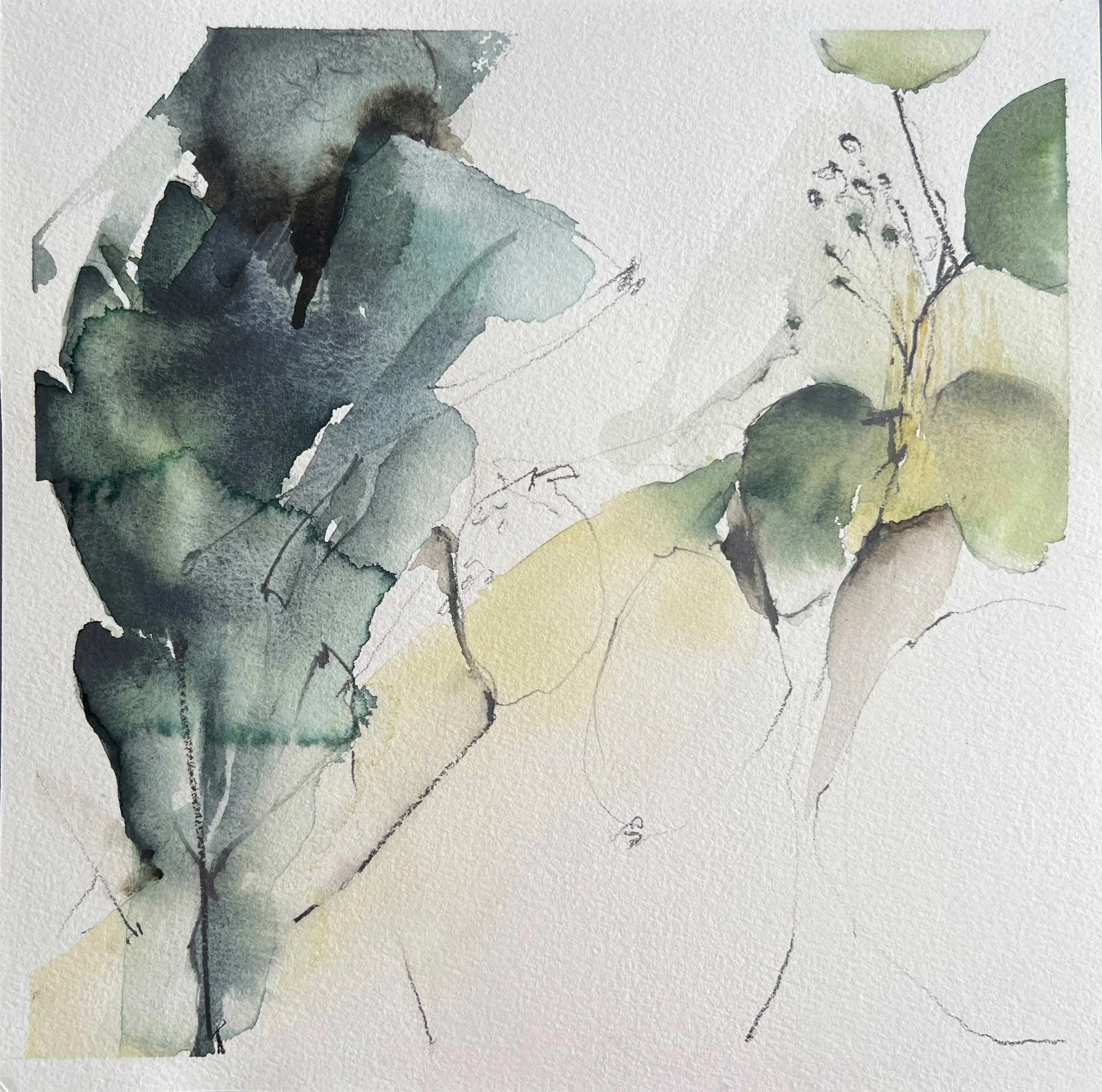 Gatherings, 2024, 10.25" x 10.25", Watercolor on Paper