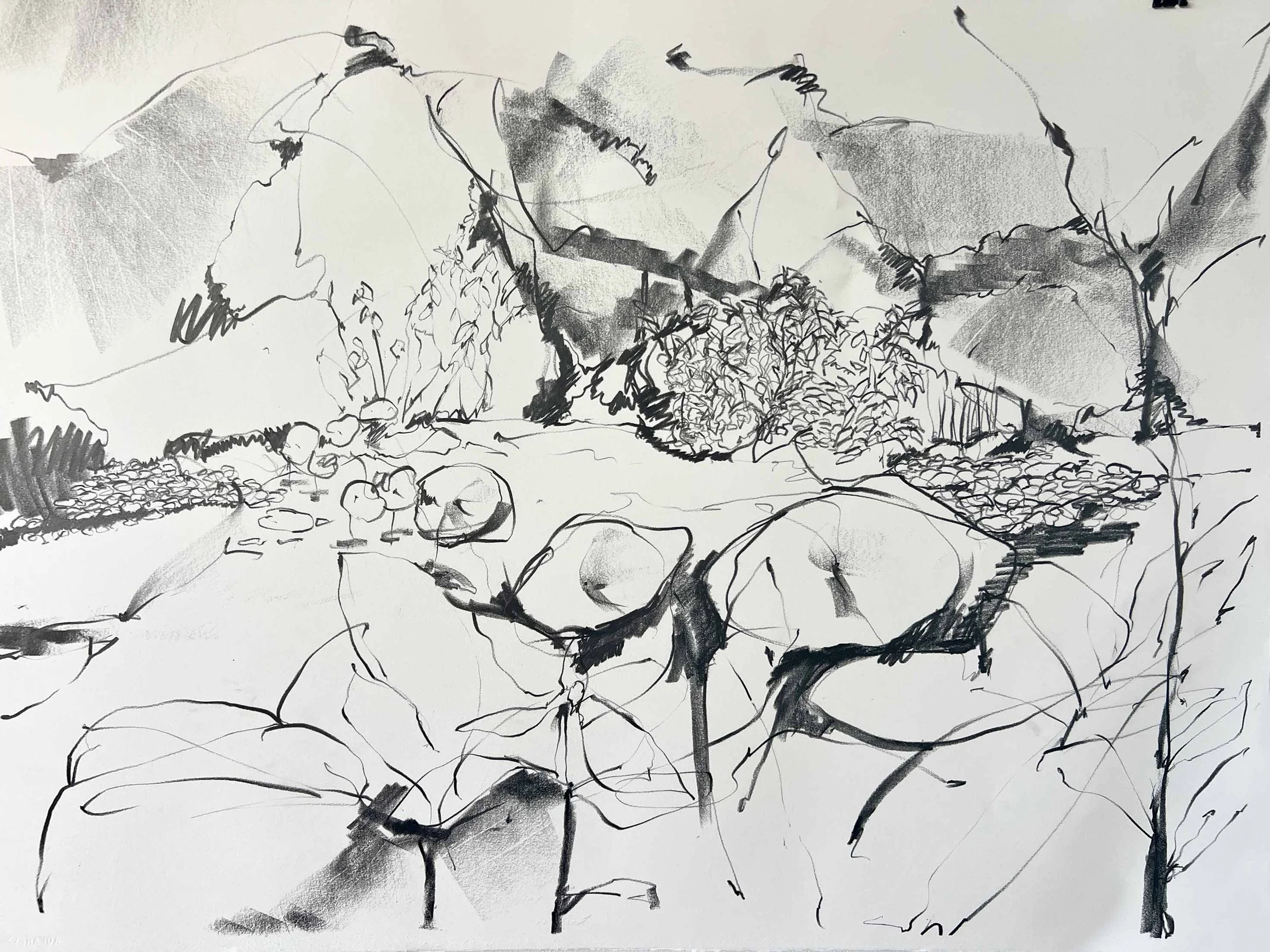 At the Pond in Autumn II, 2025, 21" x 30", Graphite on Paper