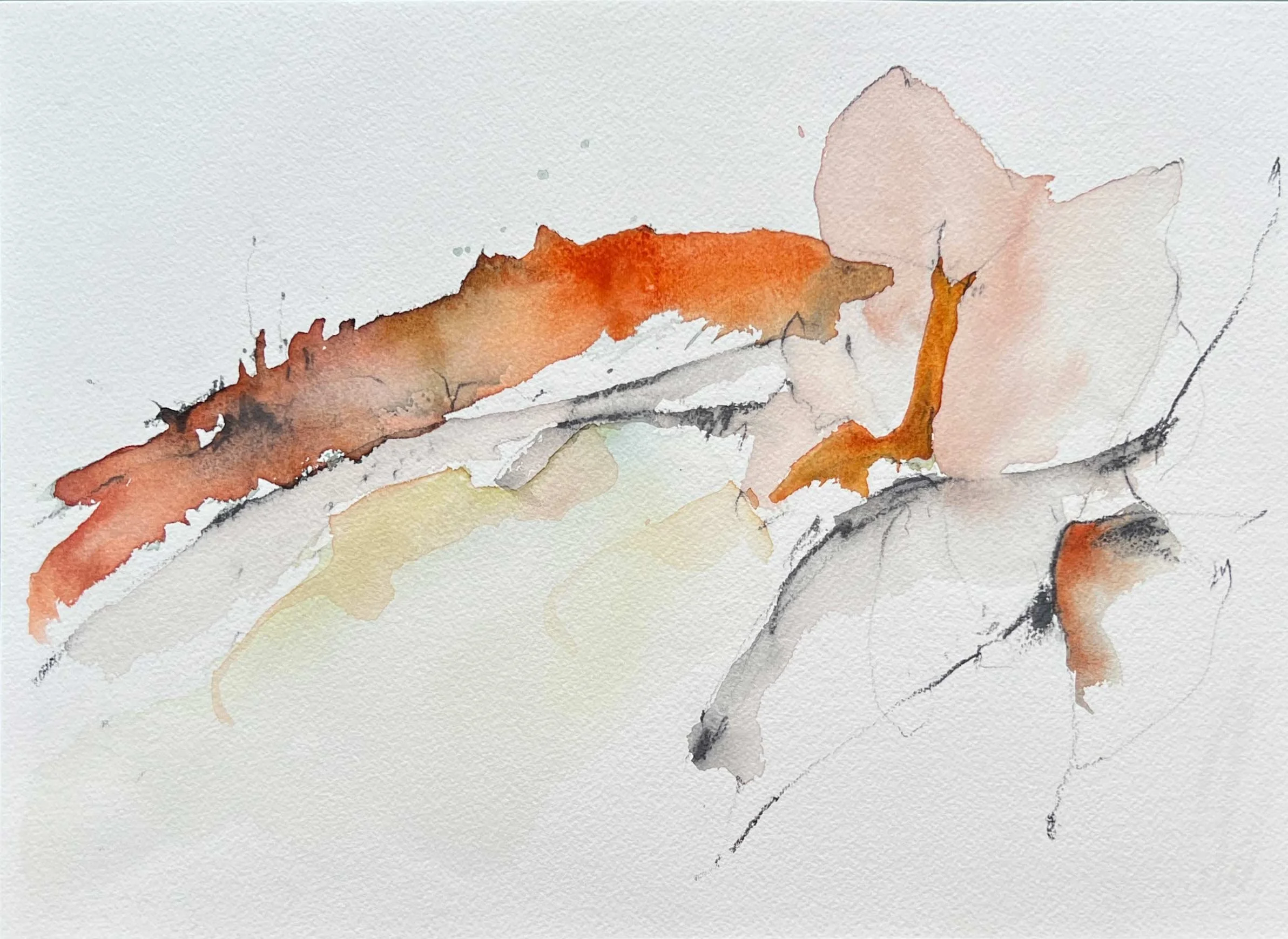 Flowerbomb 1, 2024, 14”x10.25", Watercolor on Paper