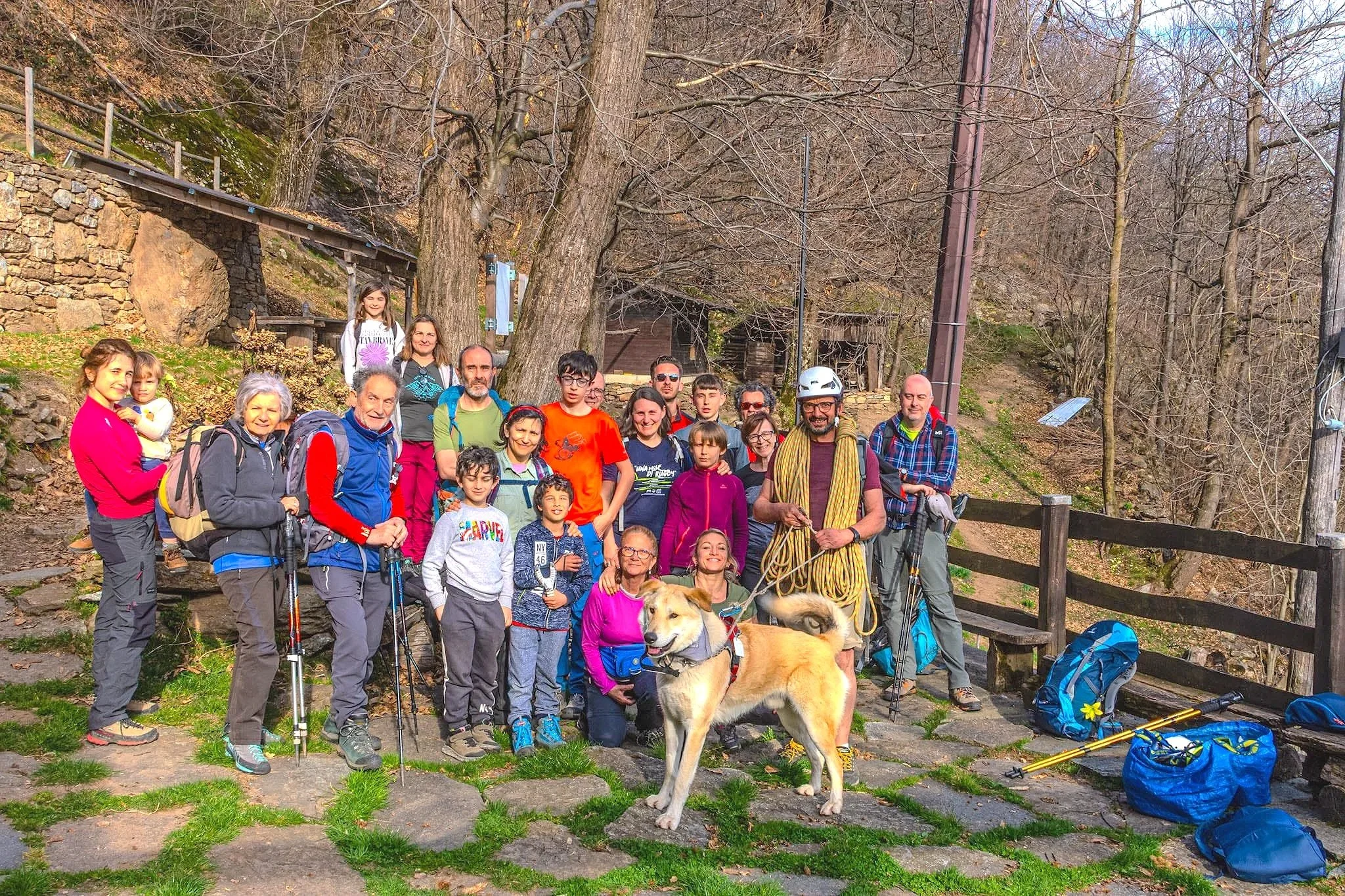 Gruppo di persone con cani e bastoncini da trekking in una foresta primaverile, alcuni sorridenti, altri con attrezzatura da escursionismo.