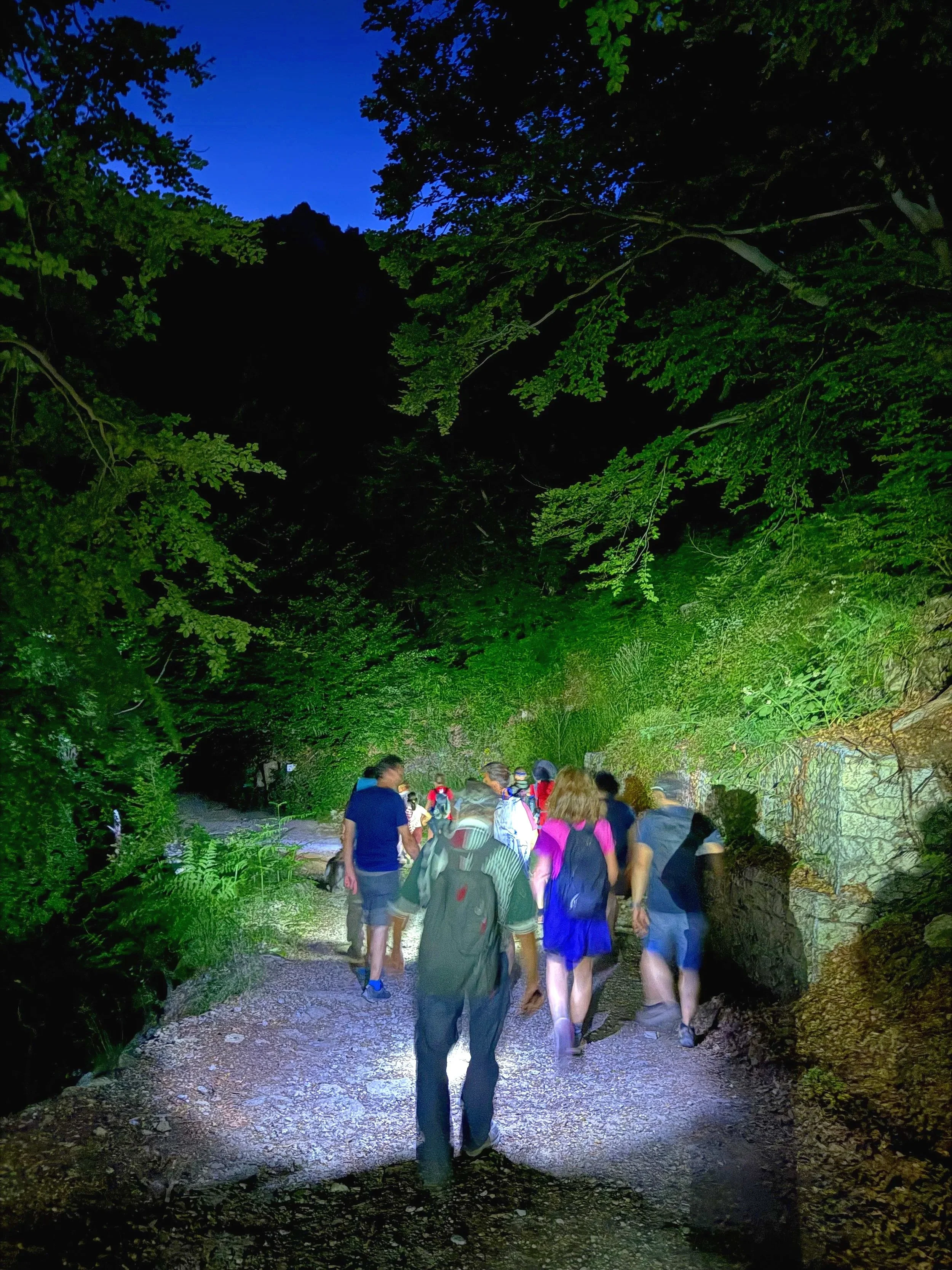 Gruppo di persone che camminano in un sentiero nella natura di notte, con la scena illuminata da fari o torce