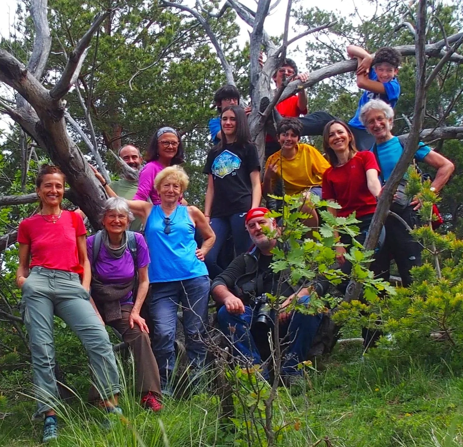 Un gruppo di persone di varie età in un'escursione in natura, alcune sedute sui rami di un grande albero, mentre altre stanno in piedi a terra, sorridenti.