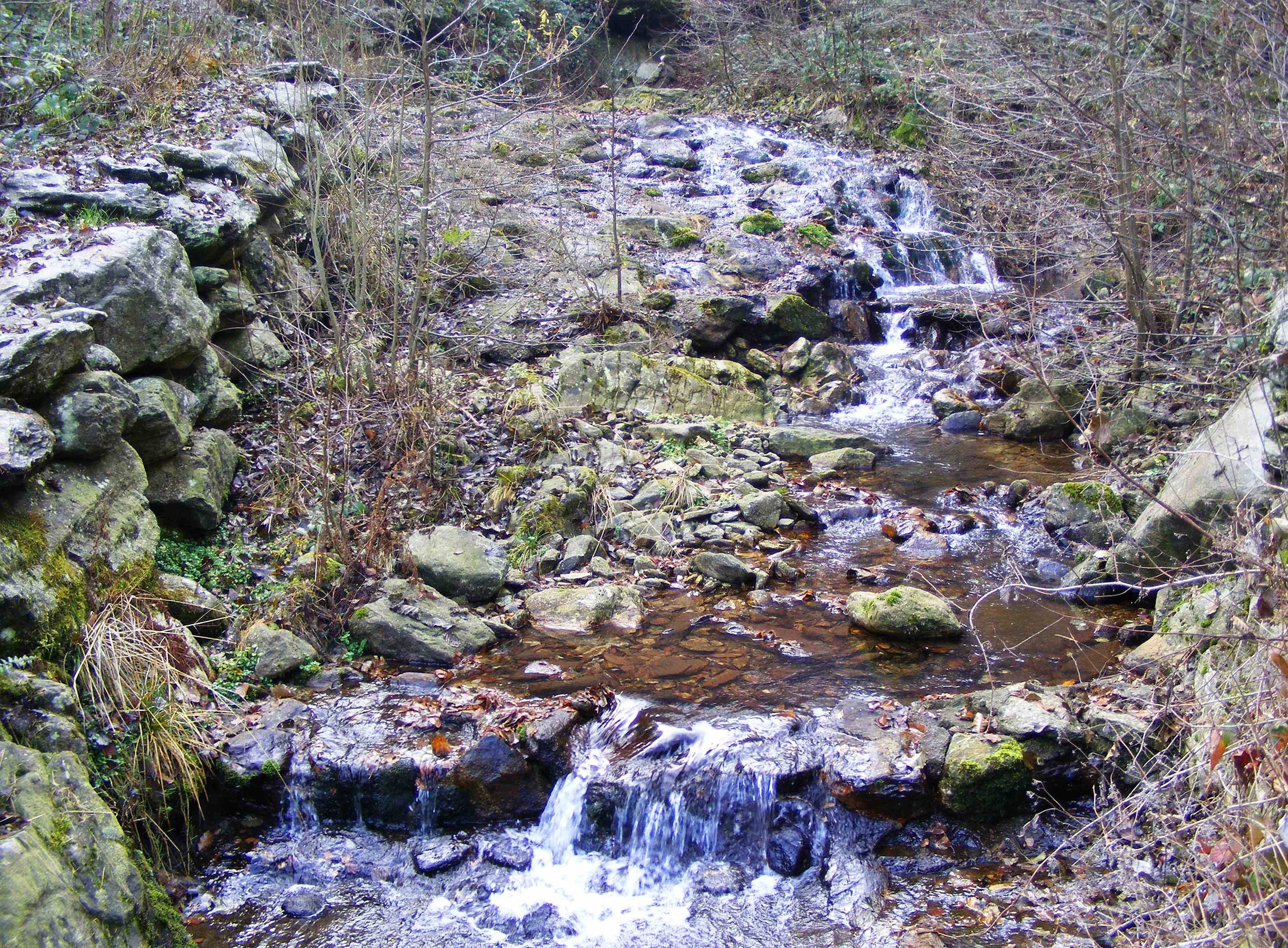 Colle della Pessa 1750 m (Val Gallenca)