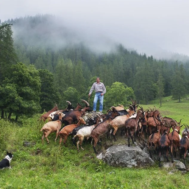 Rocca Ciarva 2360 m (Valli di Lanzo)