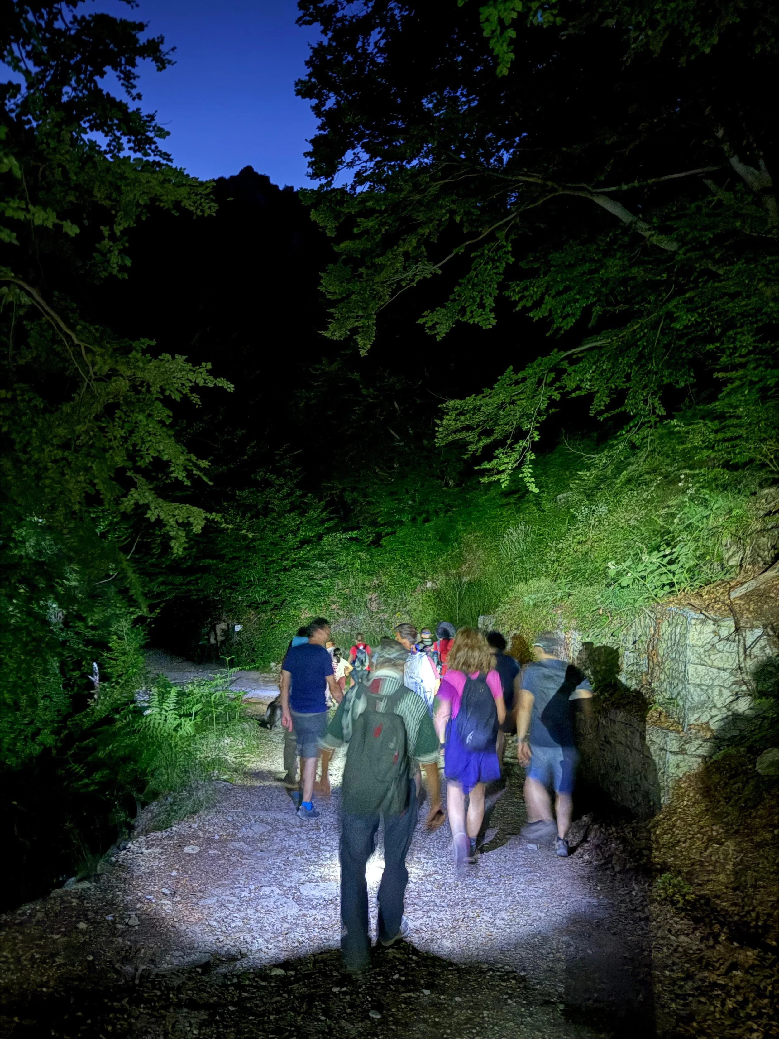 Un gruppo di persone con zaini cammina lungo un sentiero durante la notte, circondato da alberi e vegetazione, con il cielo visibile sopra.