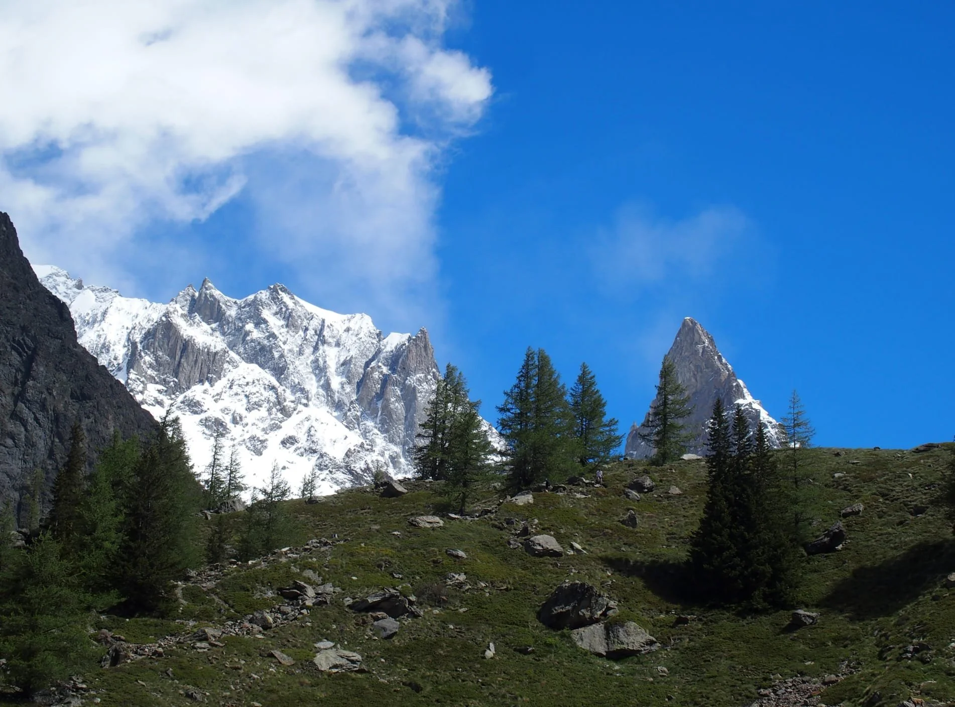 Montagne con neve, pini e un cielo blu con alcune nuvole.