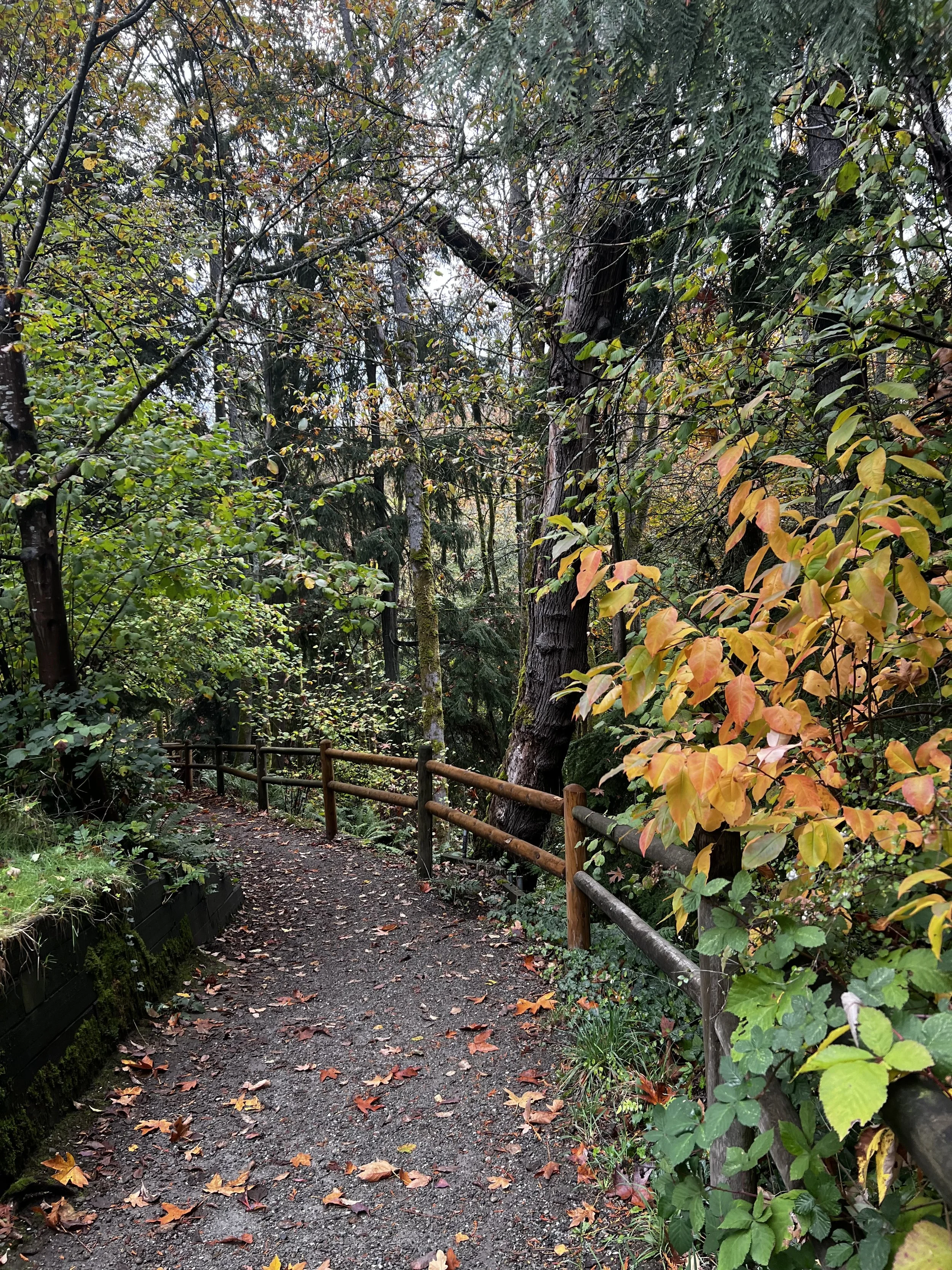 Sovereign Leadership