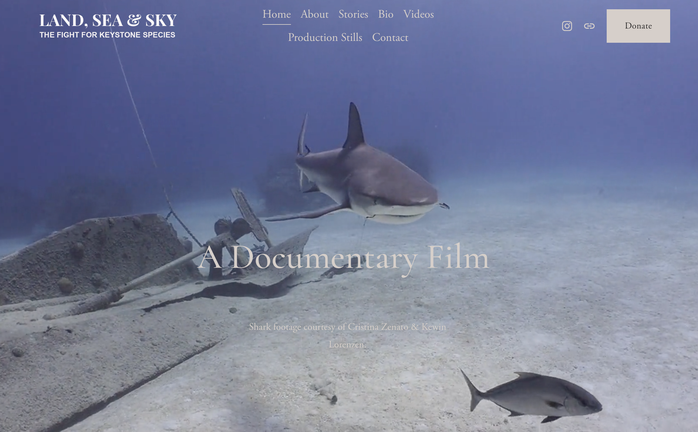 Screenshot 2026-01-09 at 4.24.46 PM.png